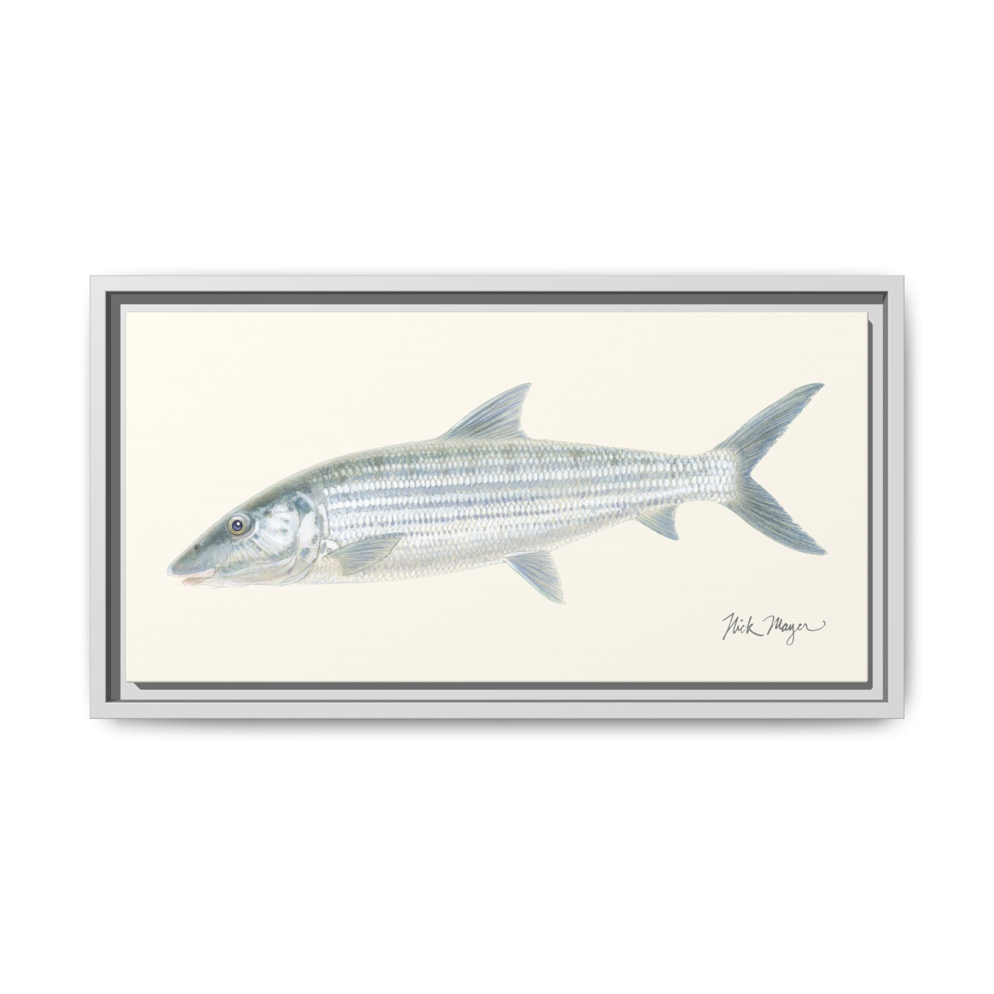 Bonefish Framed Canvas Print Printify
