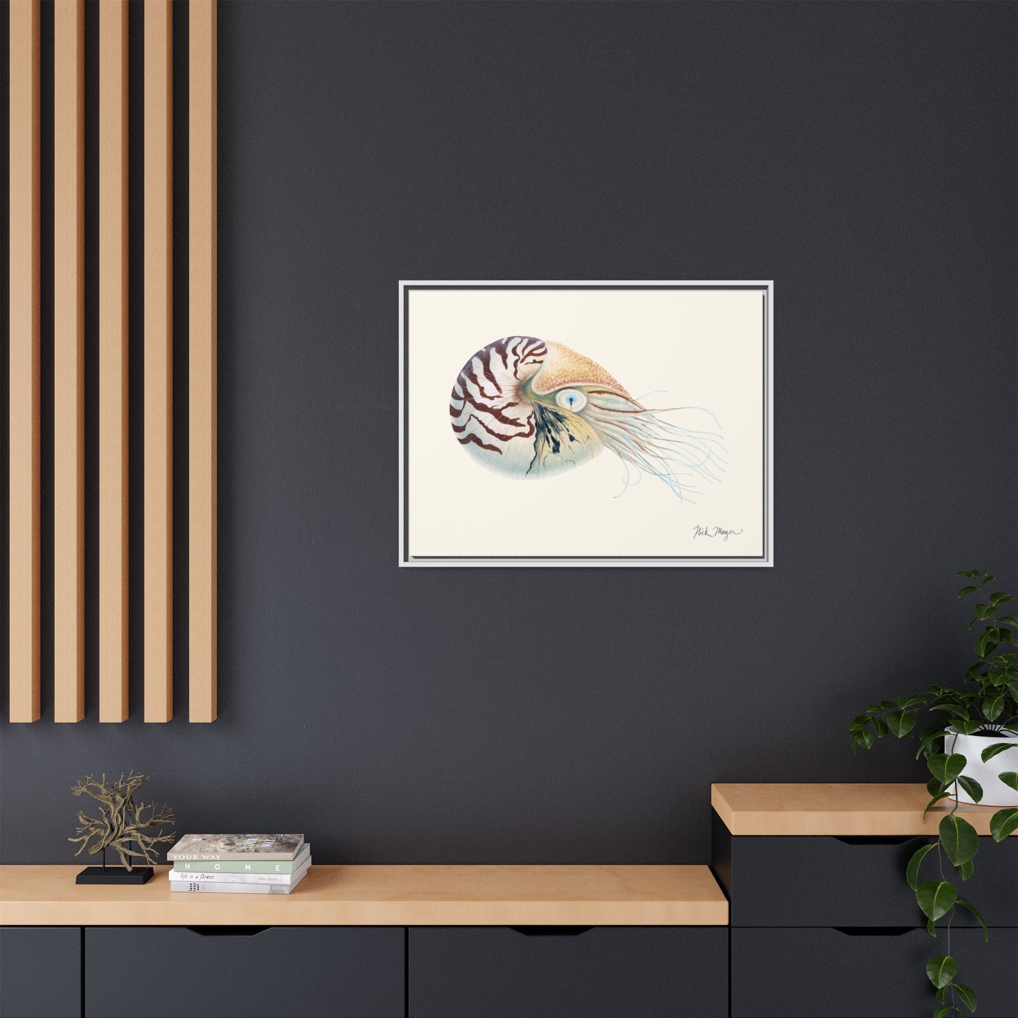 Chambered Nautilus Framed Canvas Print Printify