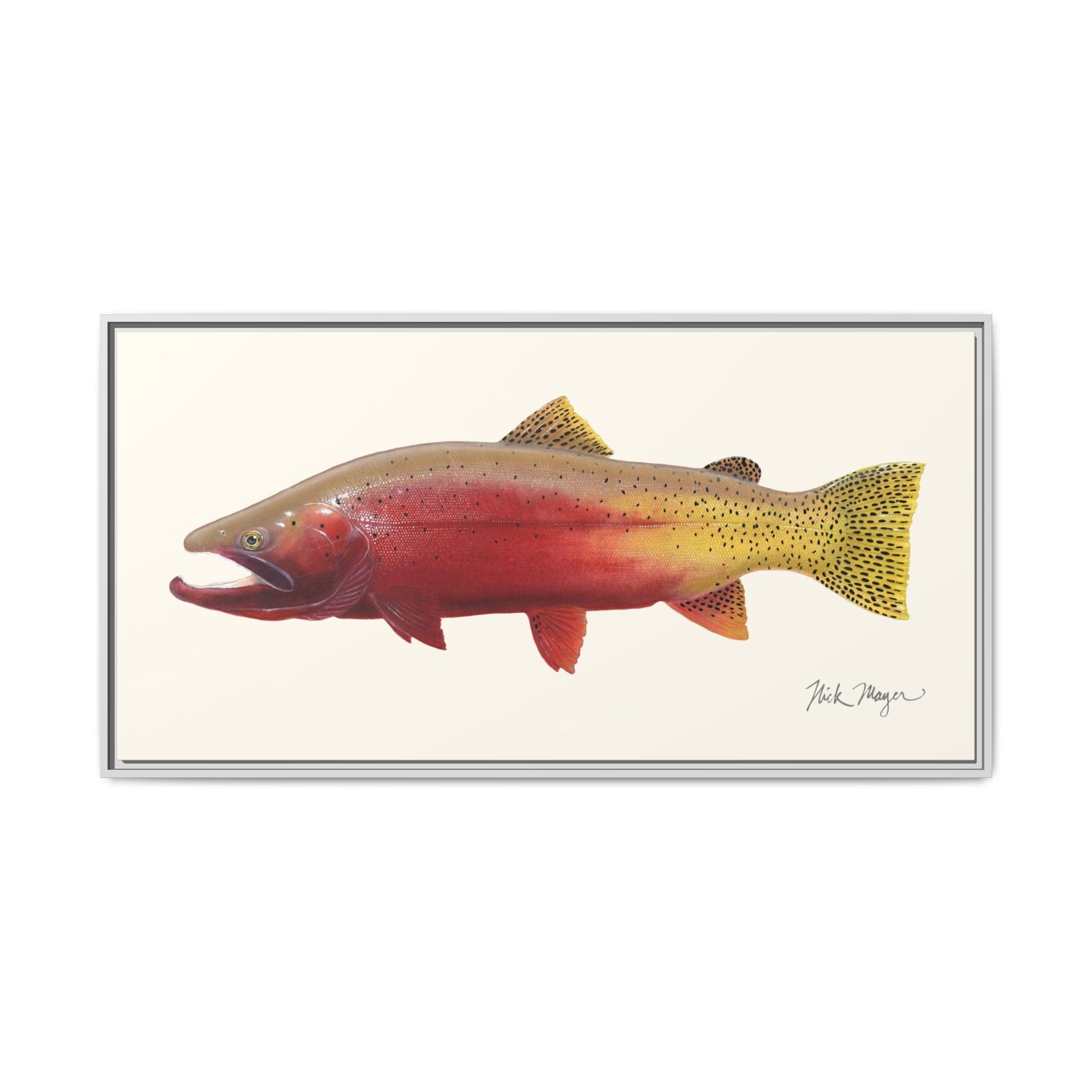 Cutthroat Trout II Framed Canvas Print Printify