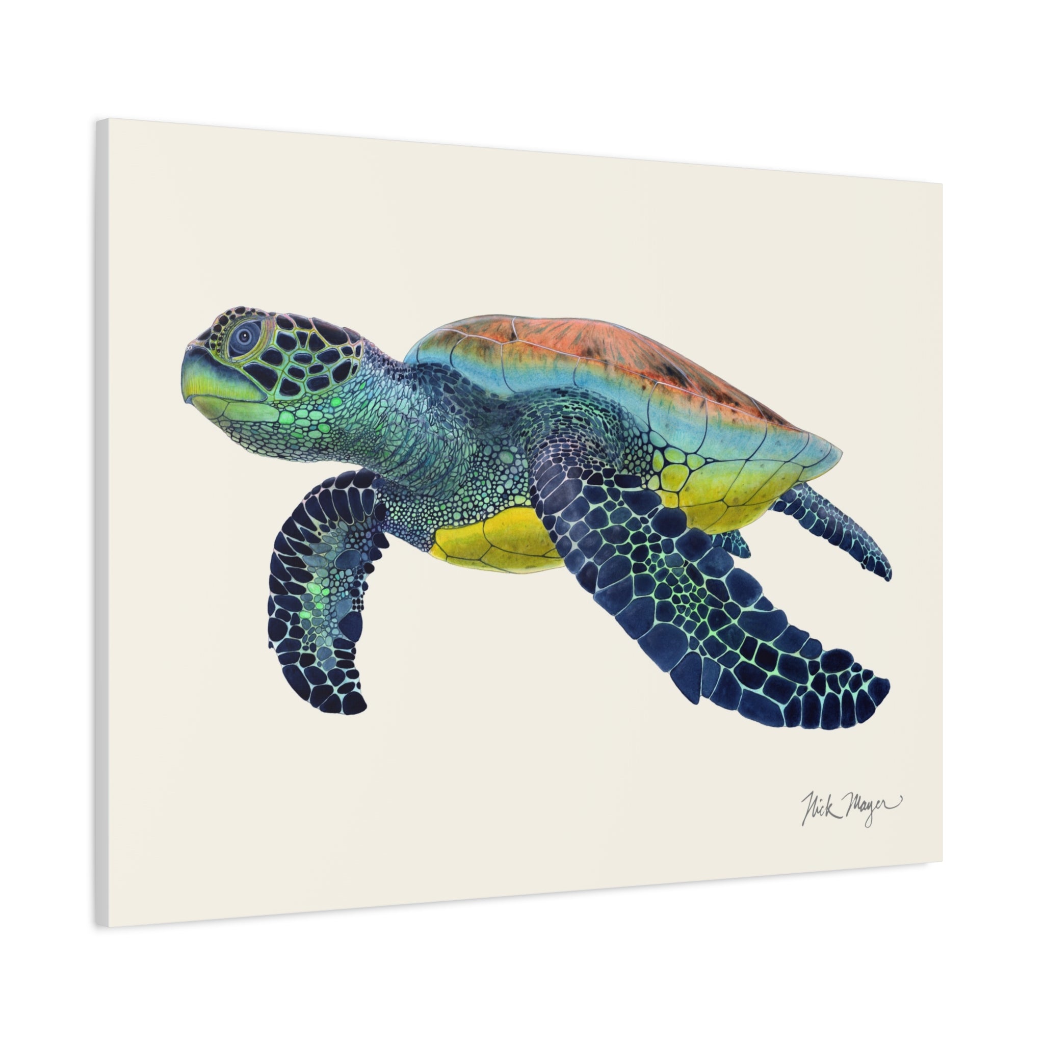 Green Sea Turtle II Canvas Print
