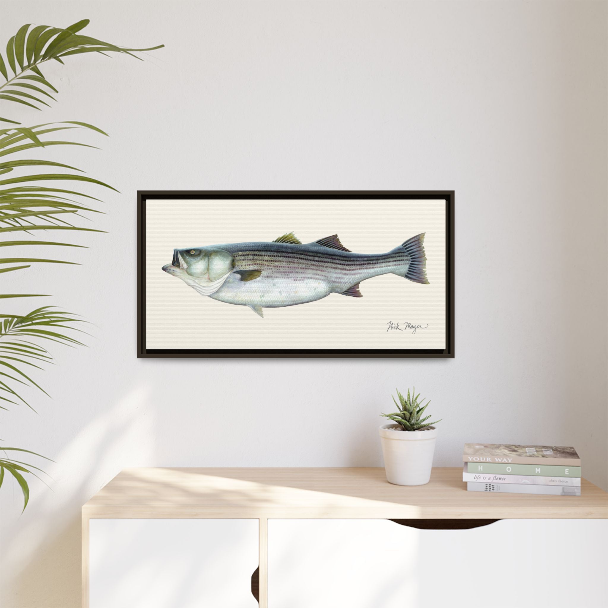 Striped Bass, 60 lbs Framed Canvas Print Printify