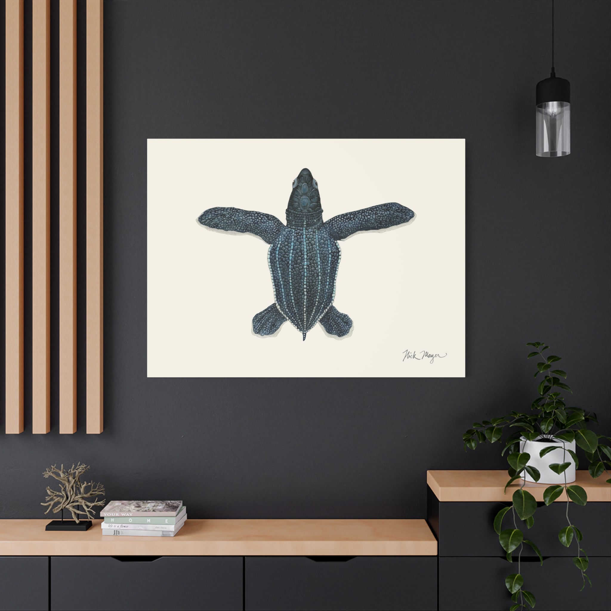 Hatchling Leatherback Sea Turtle Canvas Print