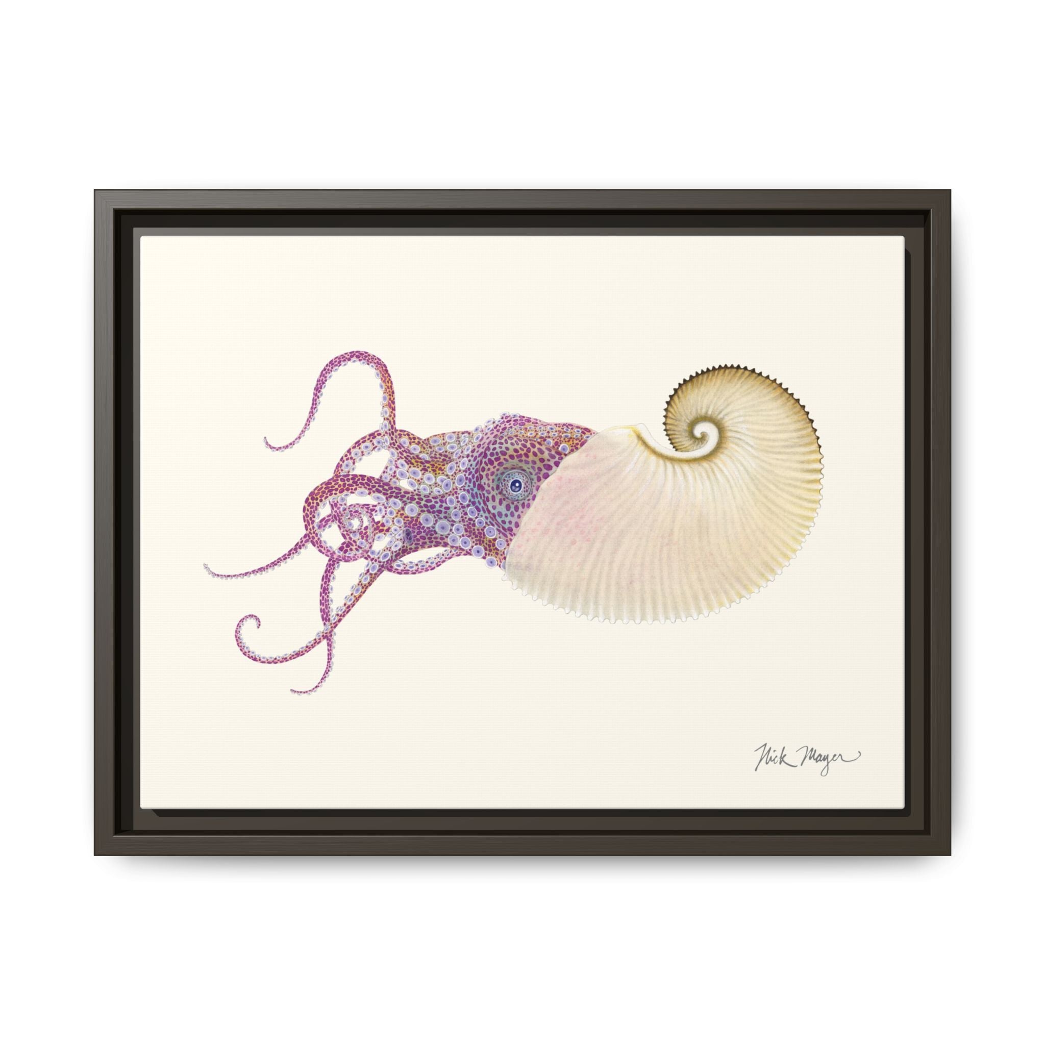 Paper Nautilus Framed Canvas Print Printify