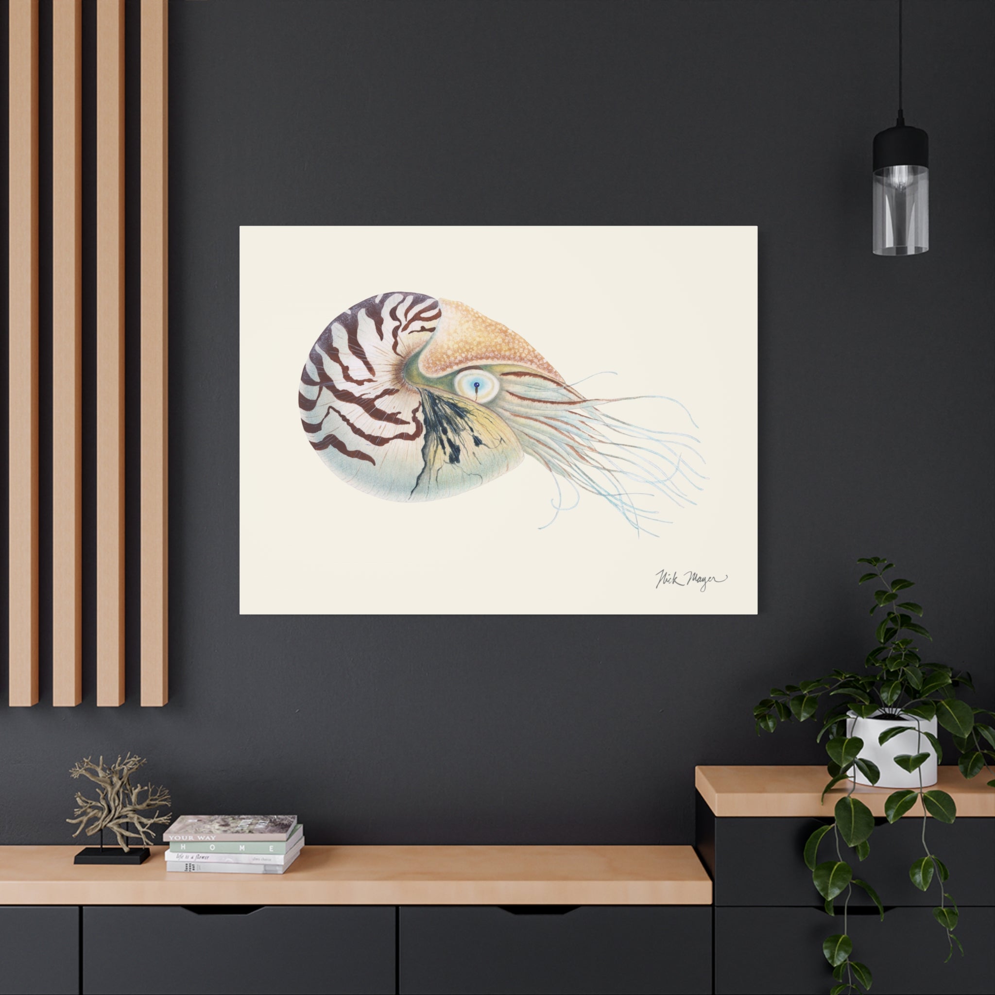 Chambered Nautilus Canvas Print