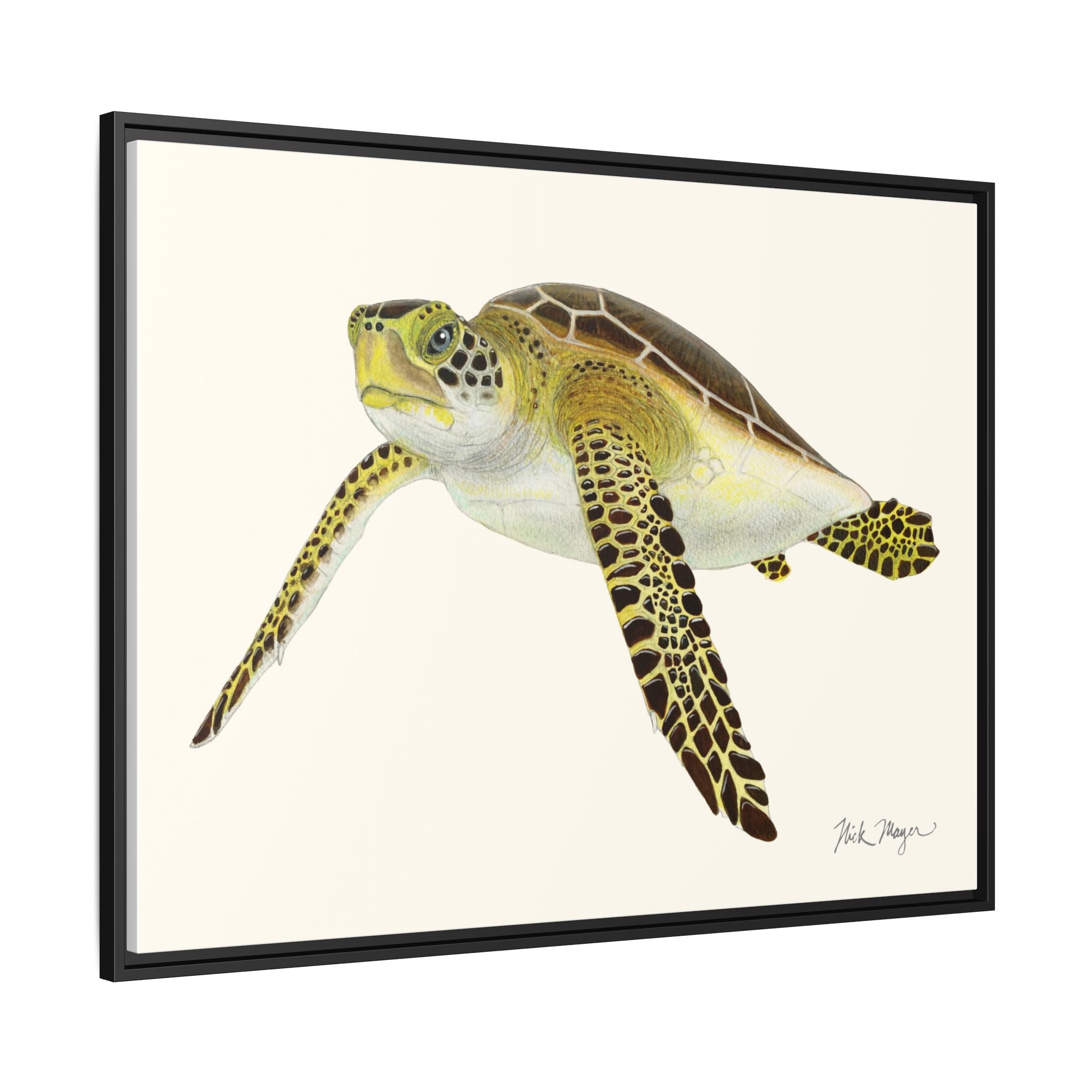 Green Sea Turtle III Framed Canvas Print Printify