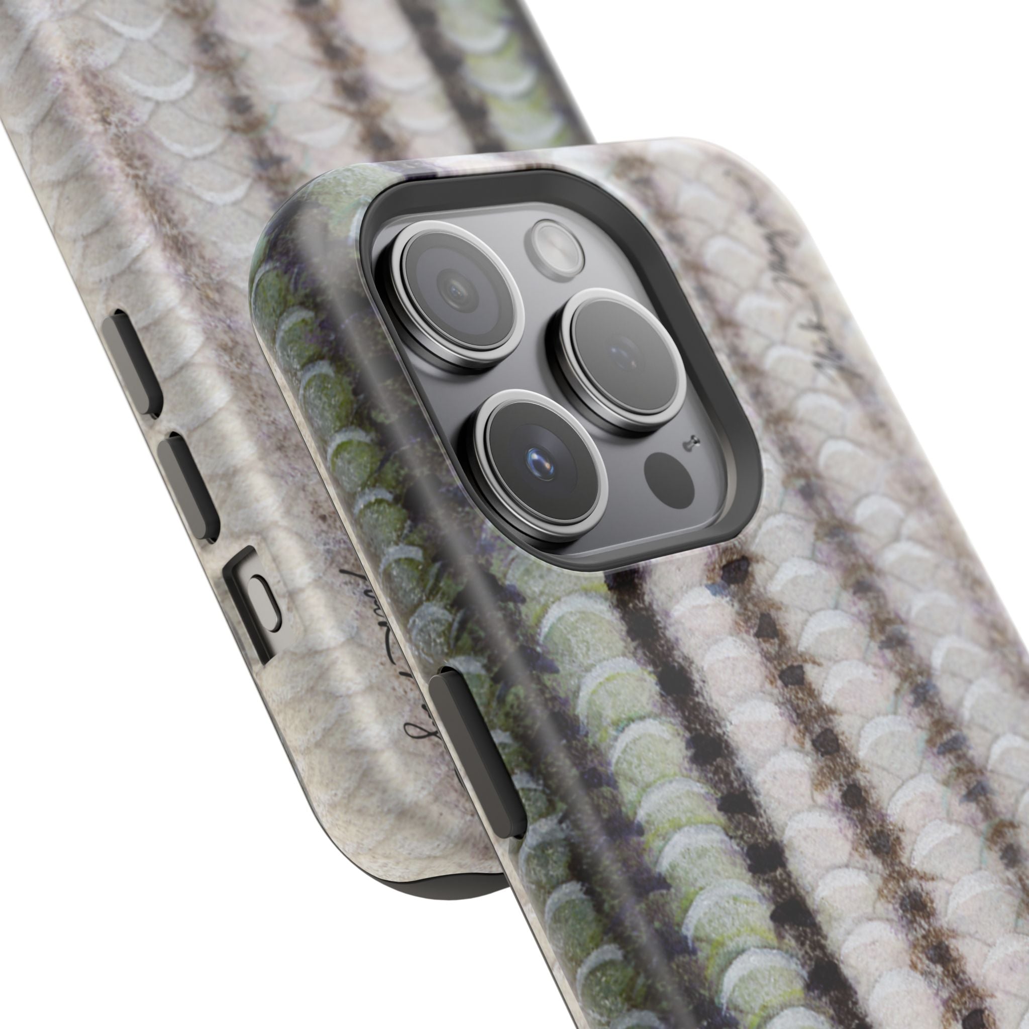 Striper Skin MagSafe iPhone Case