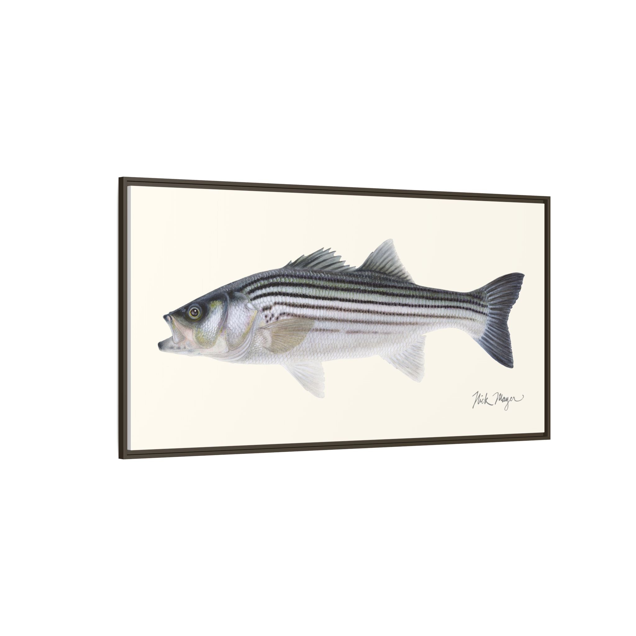 Schoolie Striped Bass Framed Canvas Print Printify