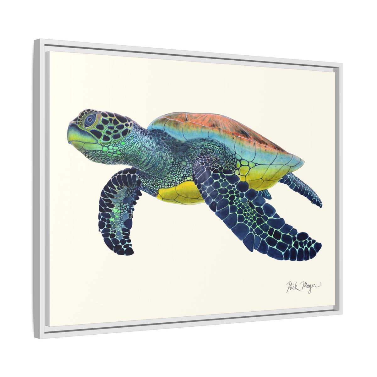 Green Sea Turtle II Framed Canvas Print Printify