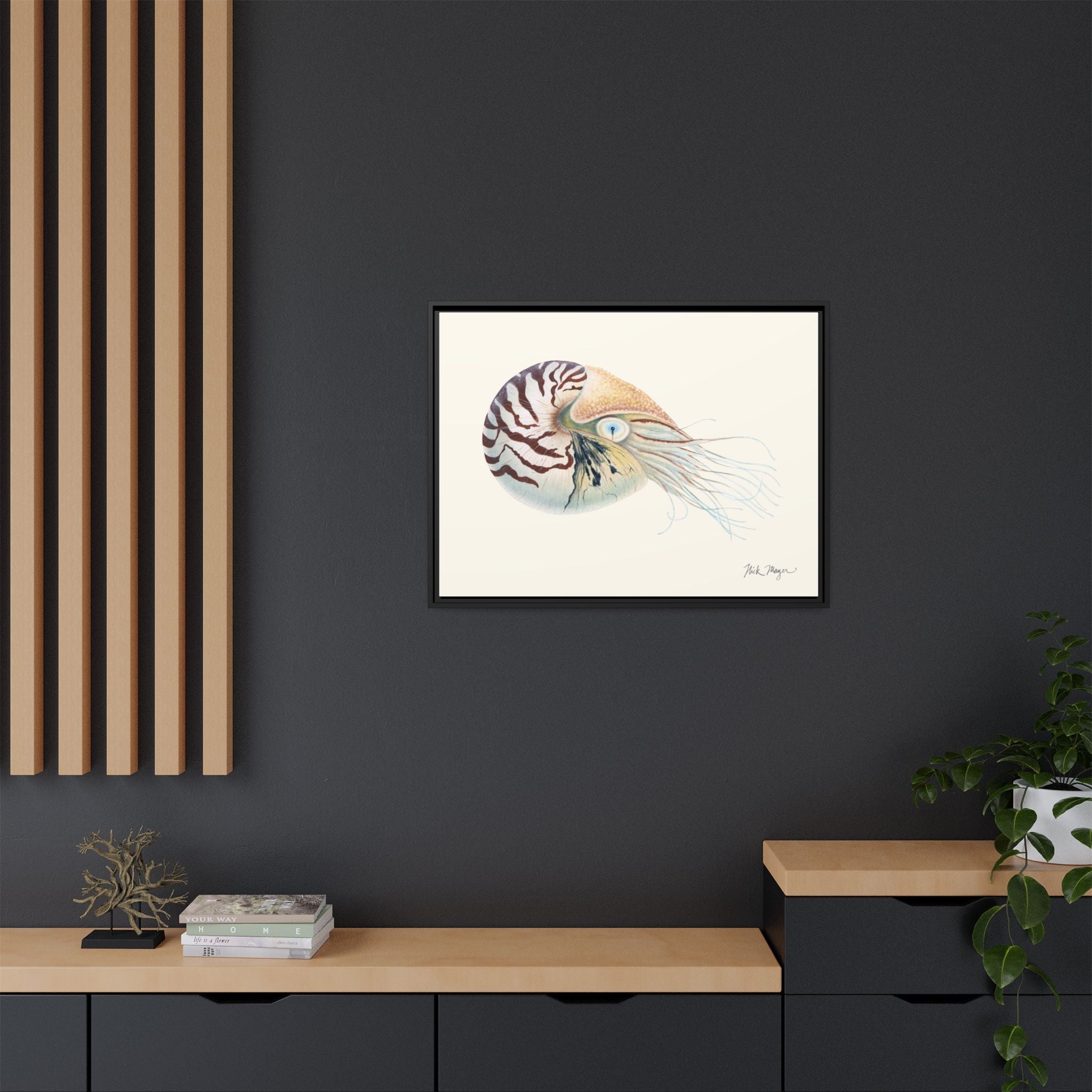 Chambered Nautilus Framed Canvas Print Printify