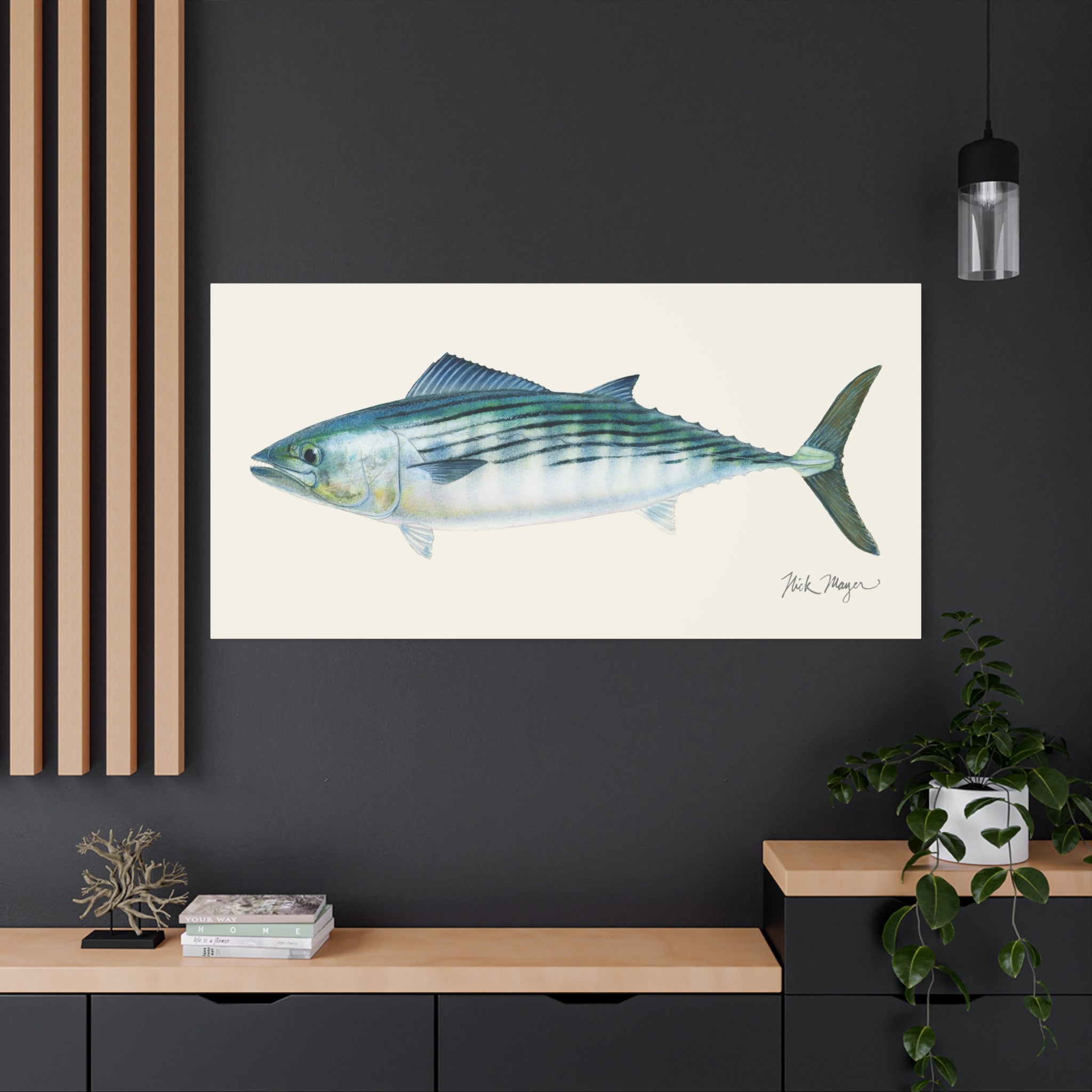 Bonito Canvas Print