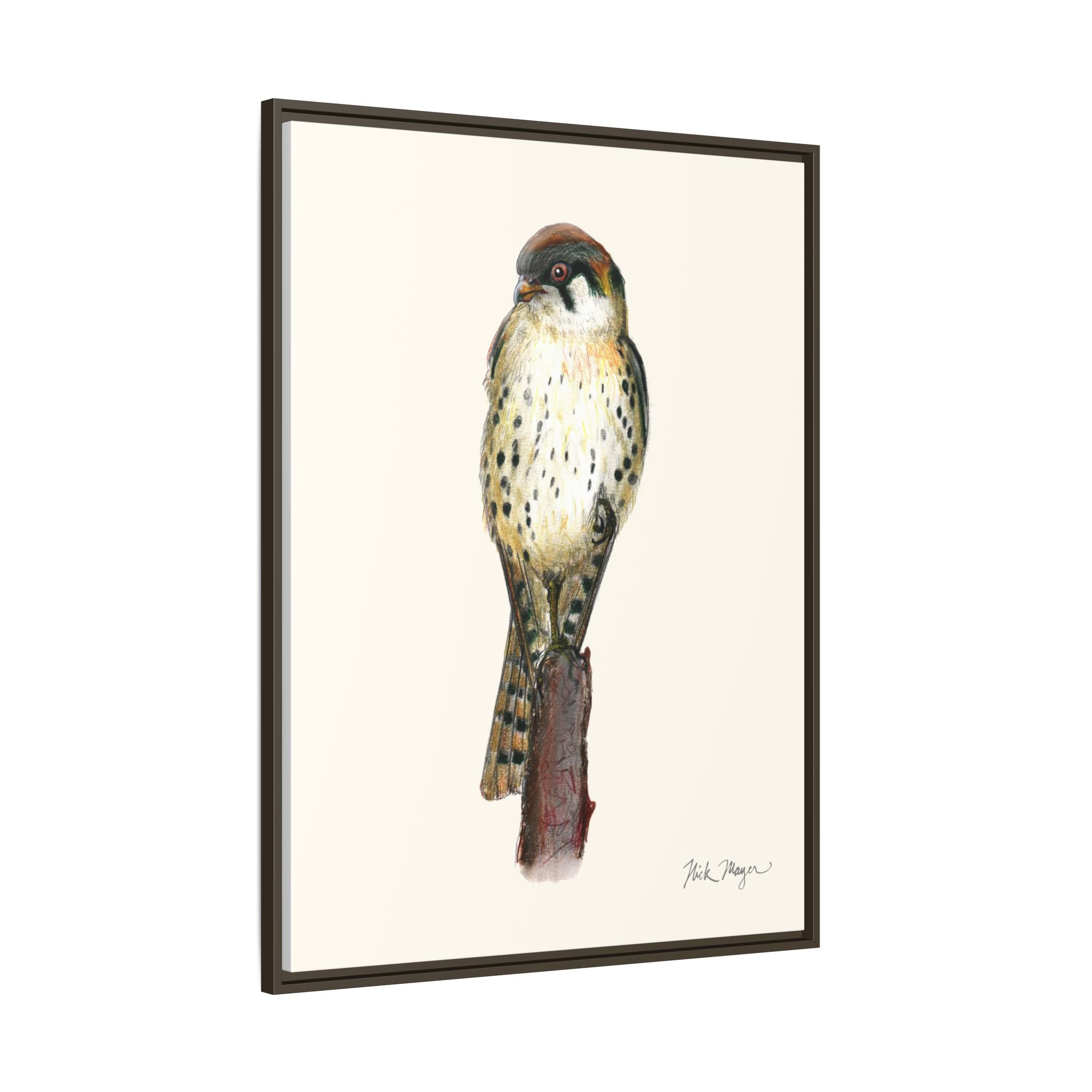 American Kestrel Framed Canvas Print Printify