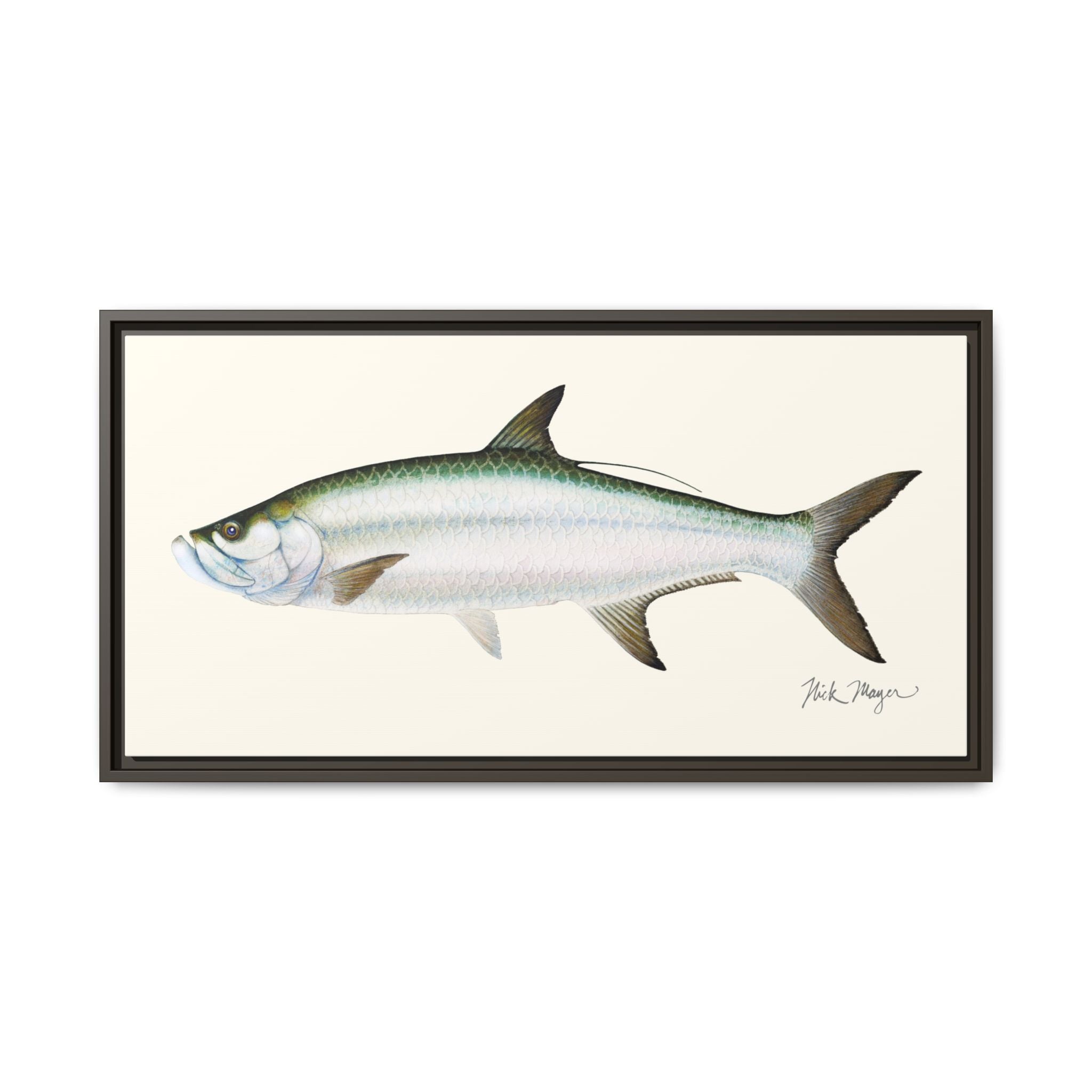 Tarpon Framed Canvas Print Printify