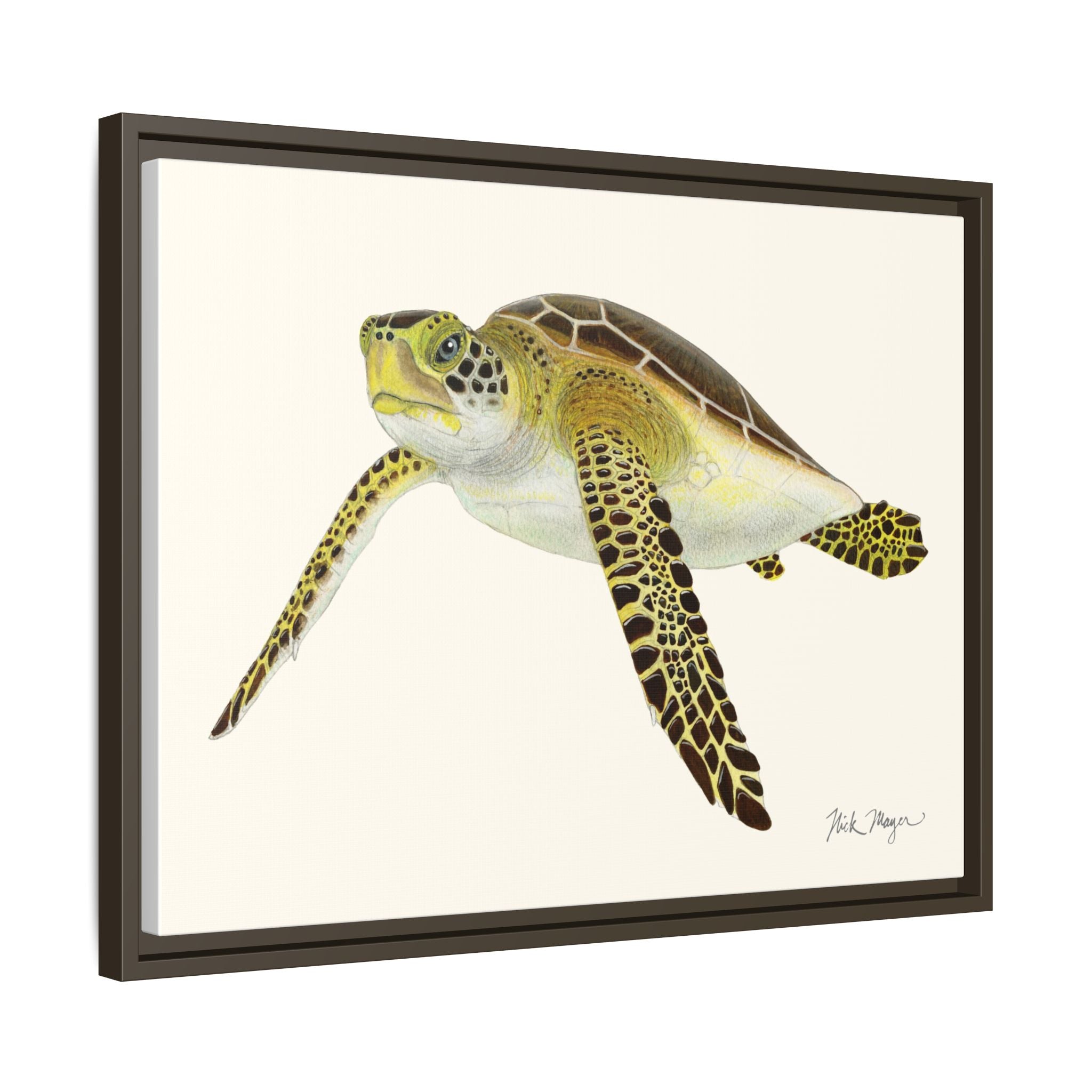 Green Sea Turtle III Framed Canvas Print Printify