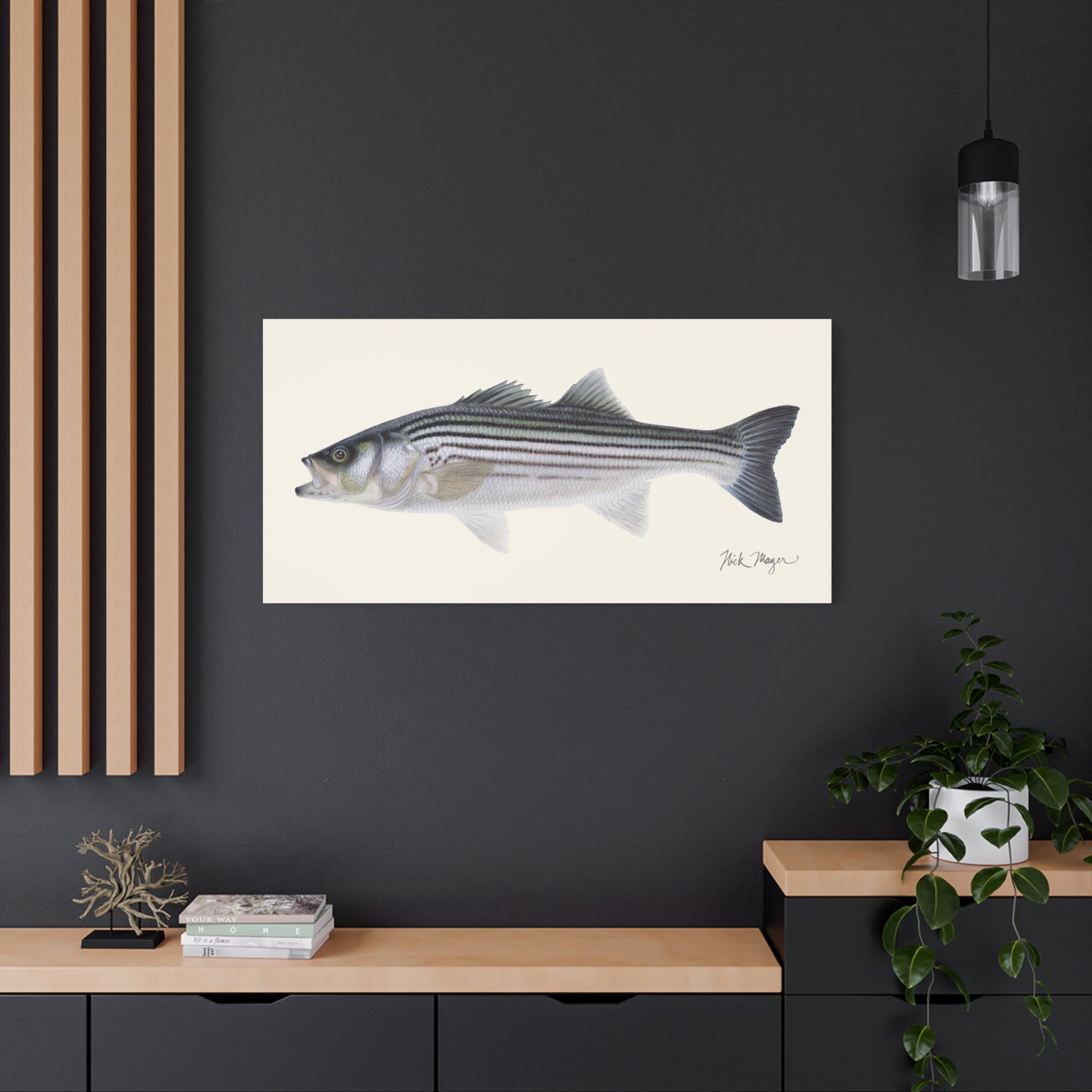 Schoolie Striped Bass Canvas Print