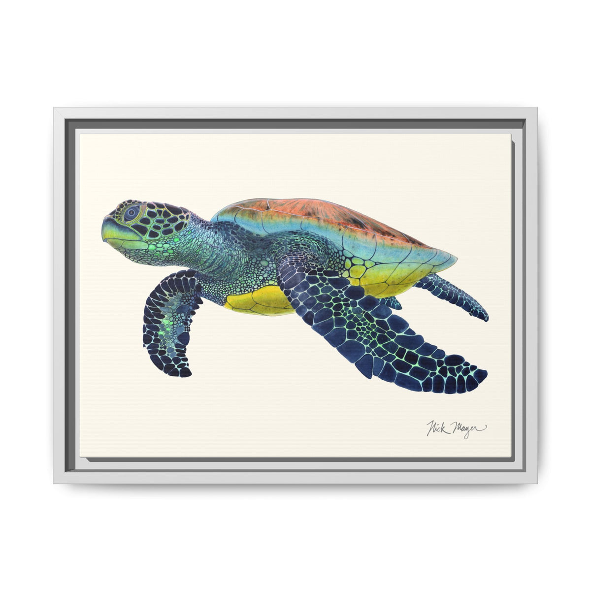 Green Sea Turtle II Framed Canvas Print Printify