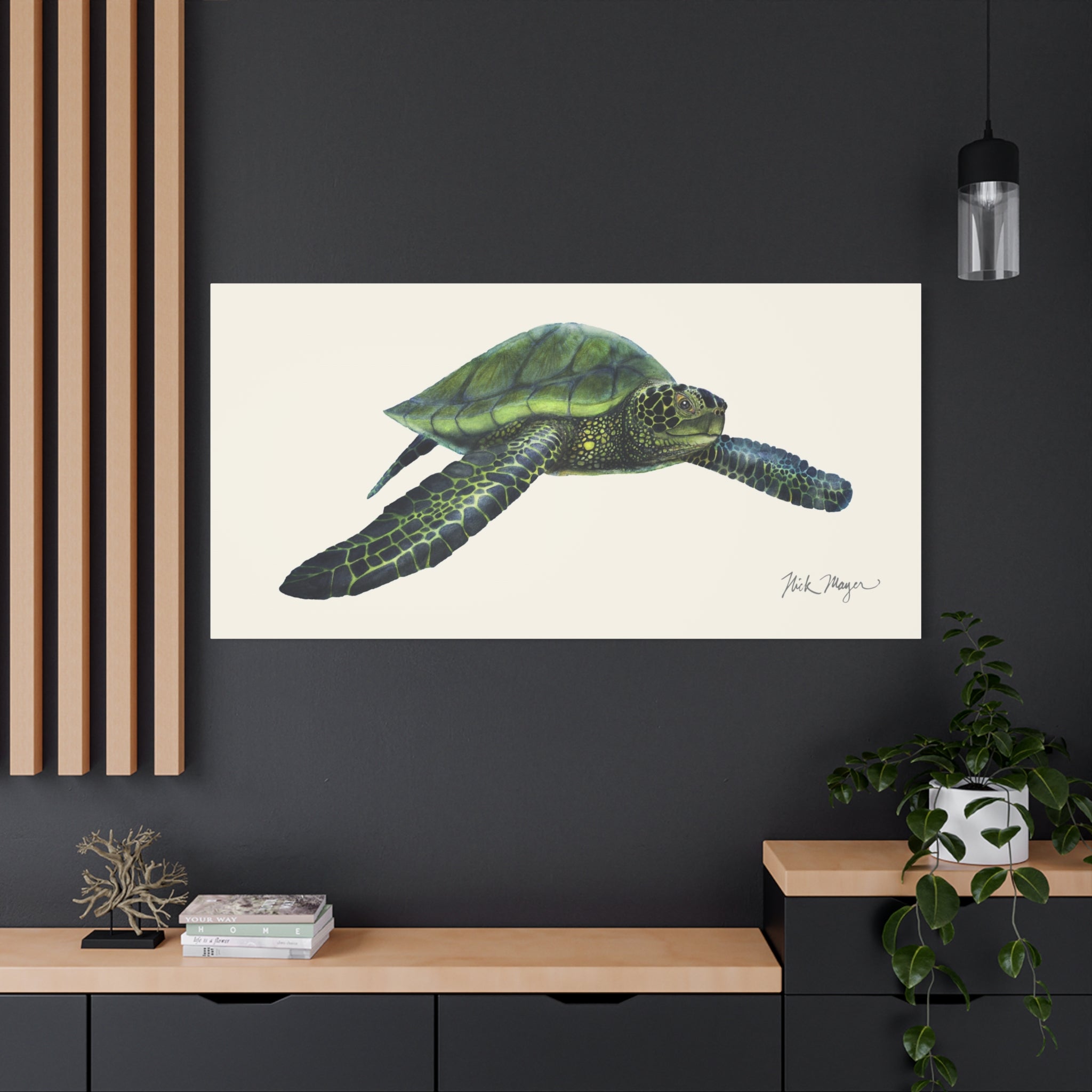 Green Sea Turtle I Canvas Print Printify