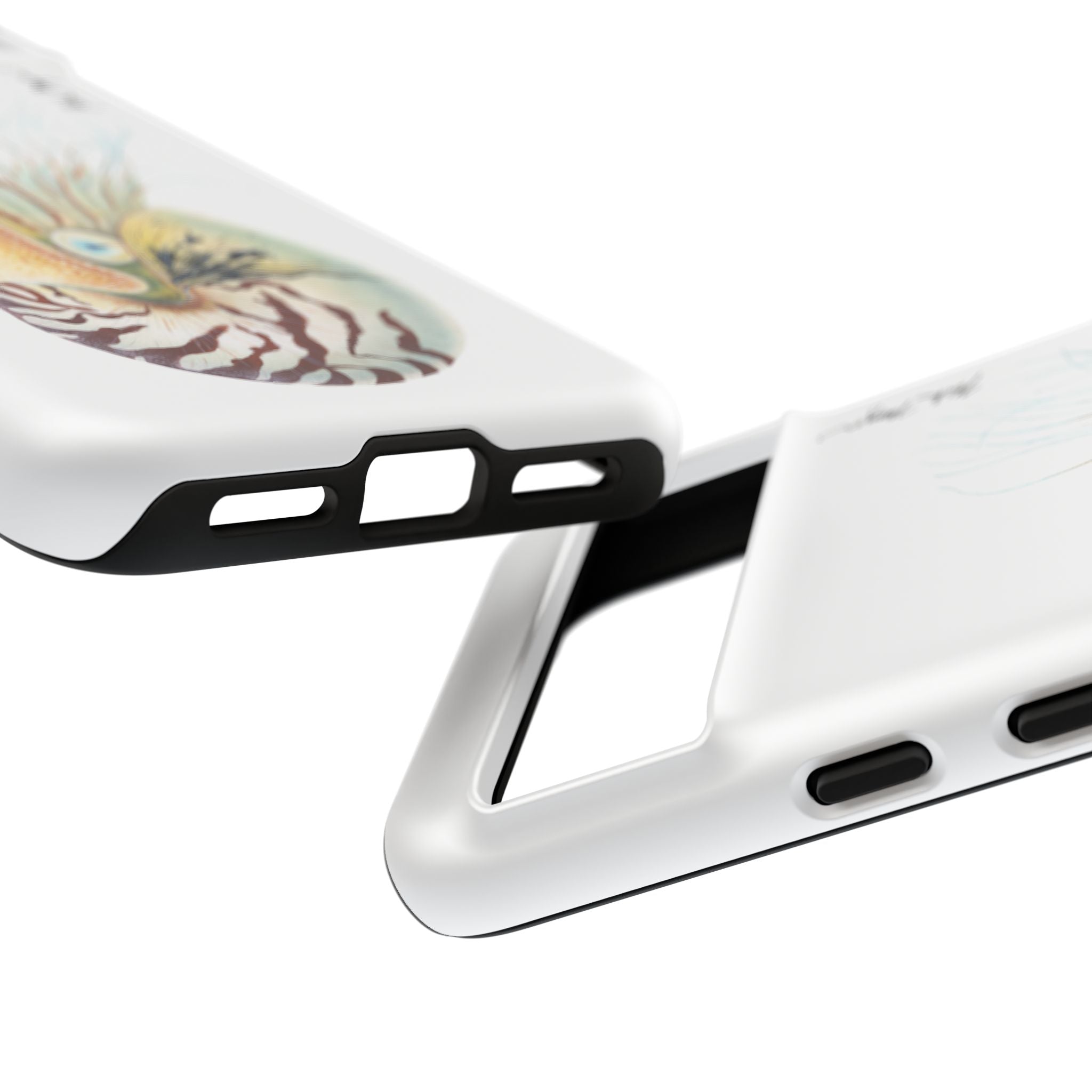 Chambered Nautilus Phone Case (Samsung) Printify