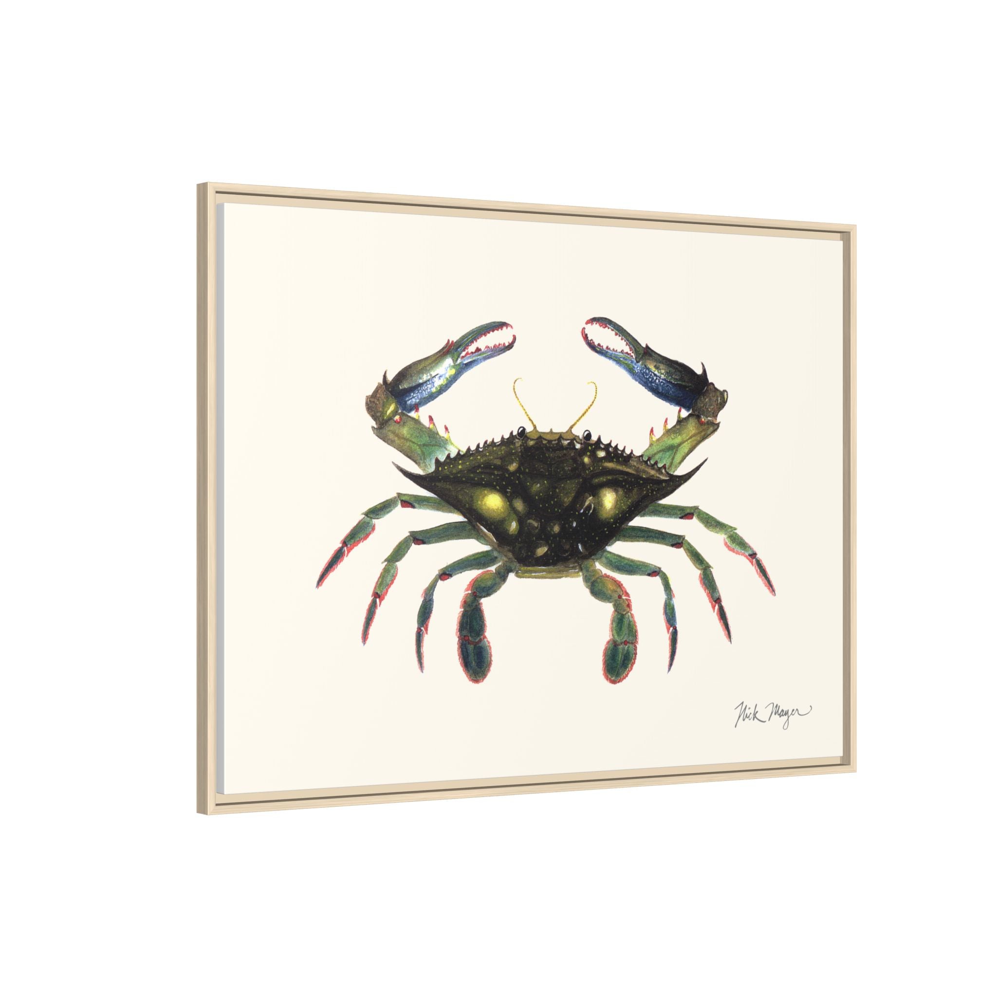 Blue Crab, Claws in Framed Canvas Print Printify