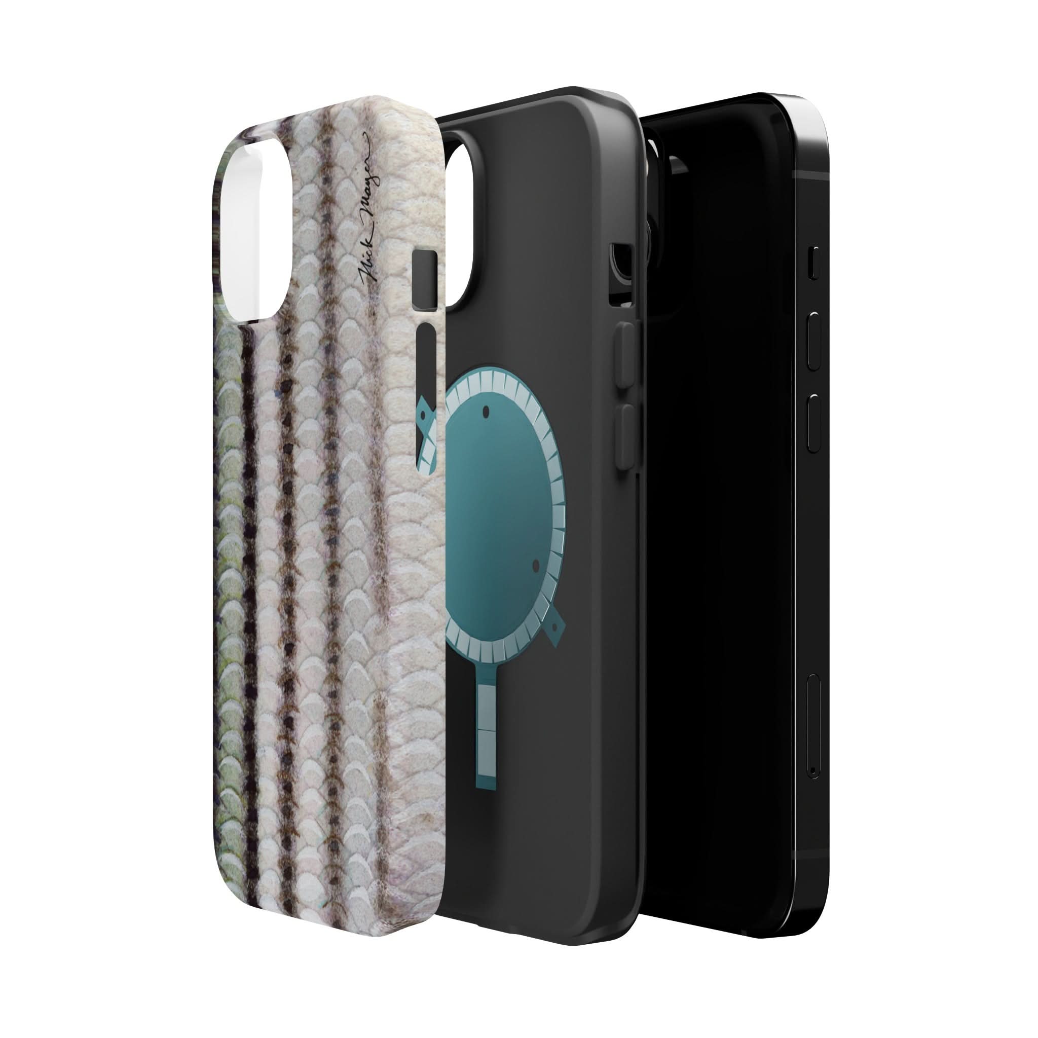 Striper Skin MagSafe iPhone Case