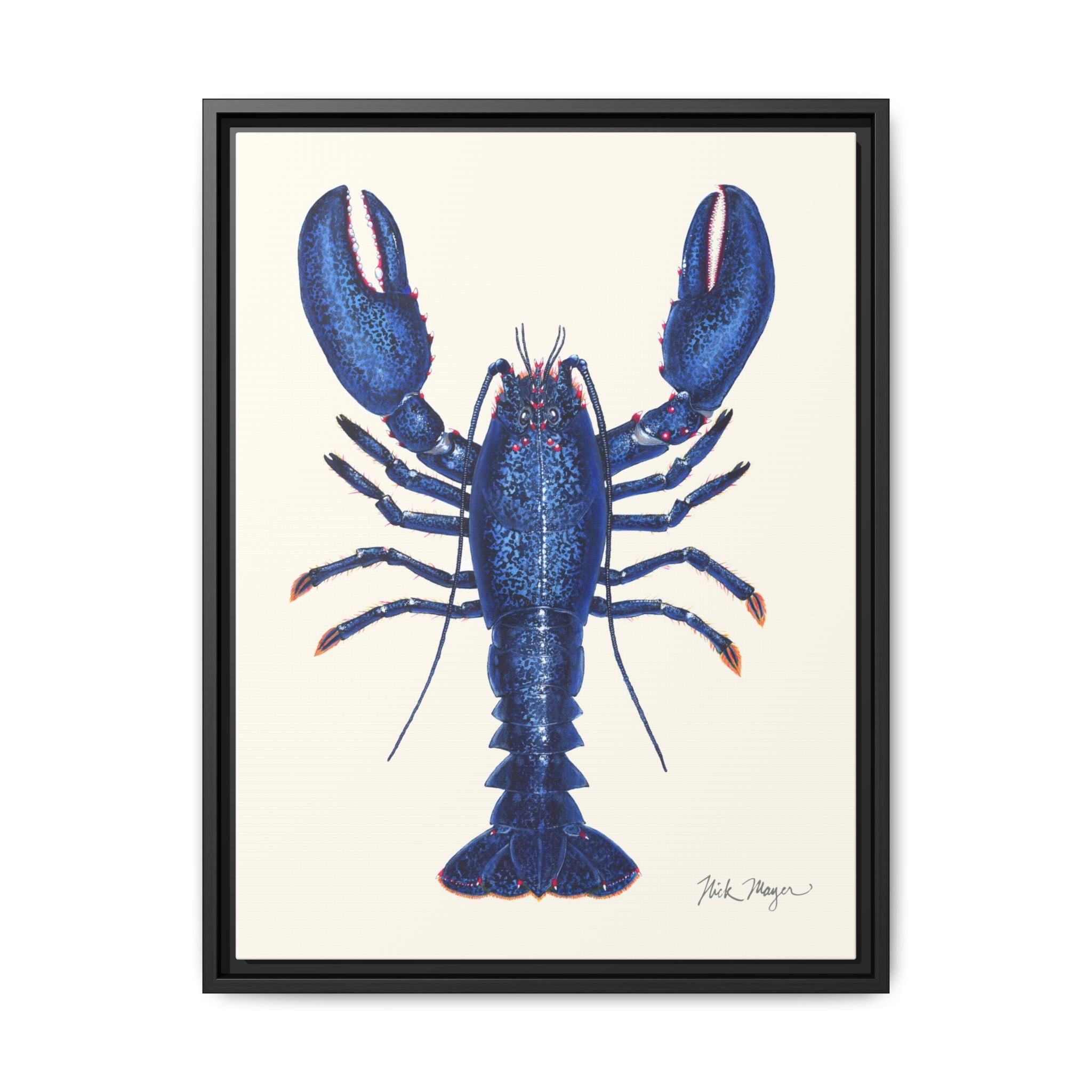 Blue Lobster II Framed Canvas Print Printify
