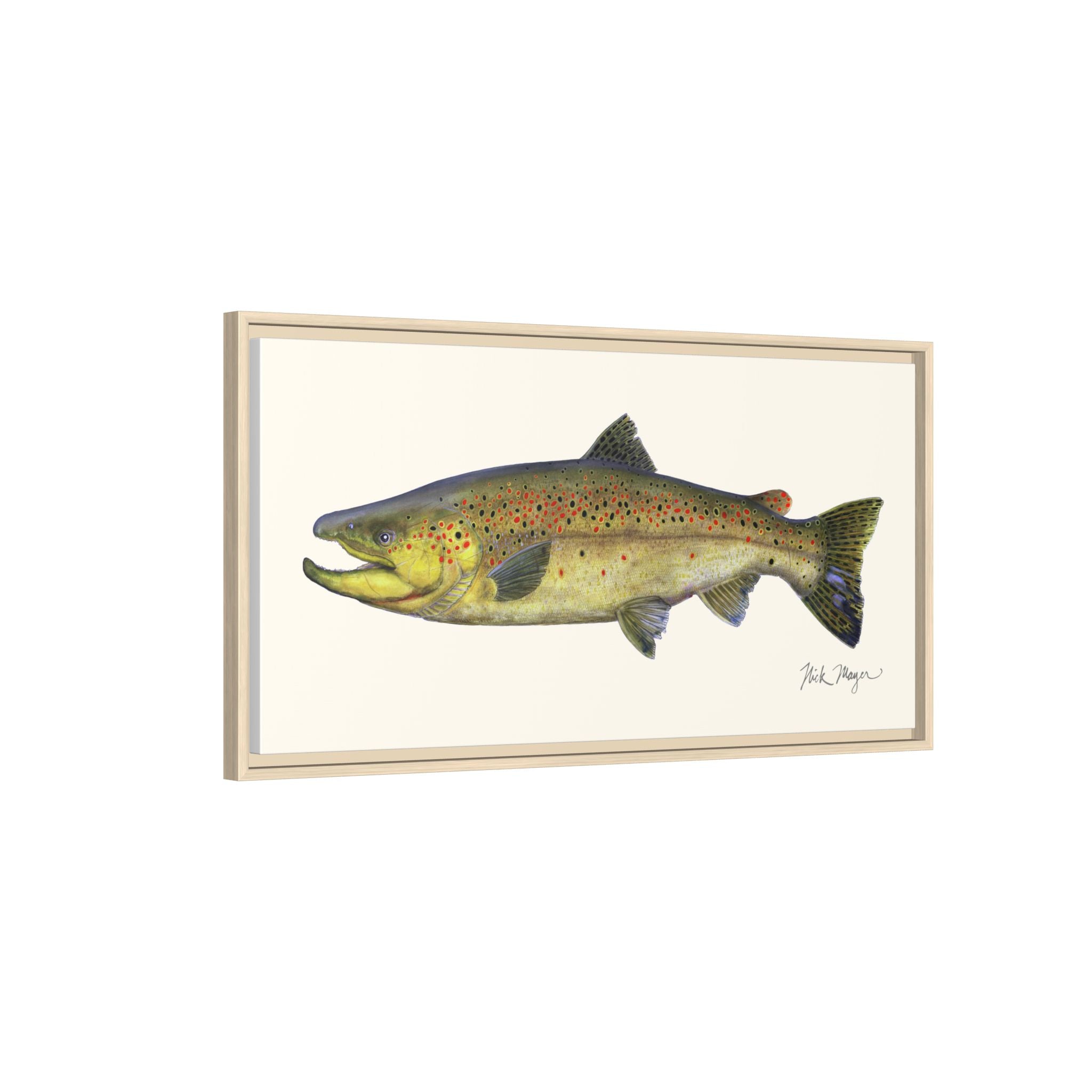 Brown Trout I Framed Canvas Print Printify