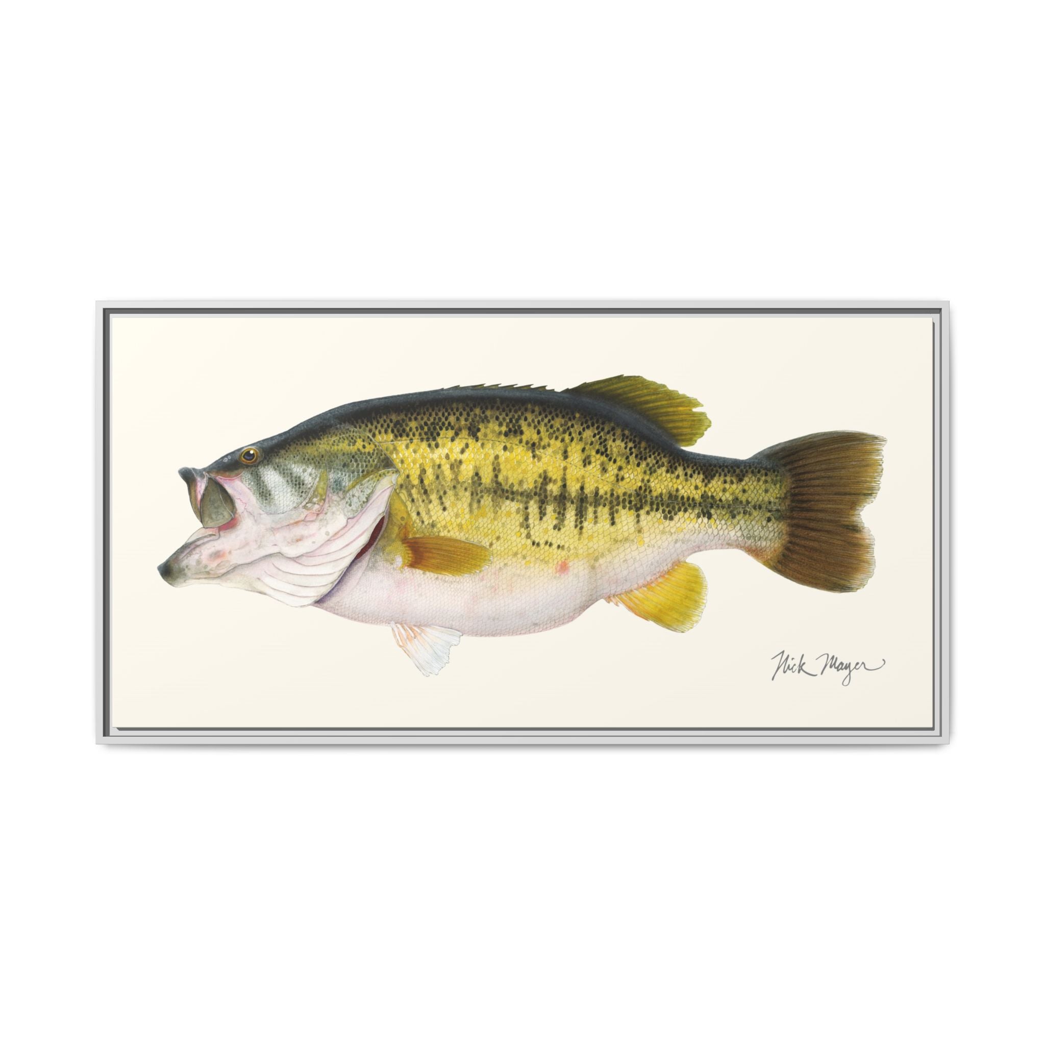 Largemouth Bass II Framed Canvas Print Printify