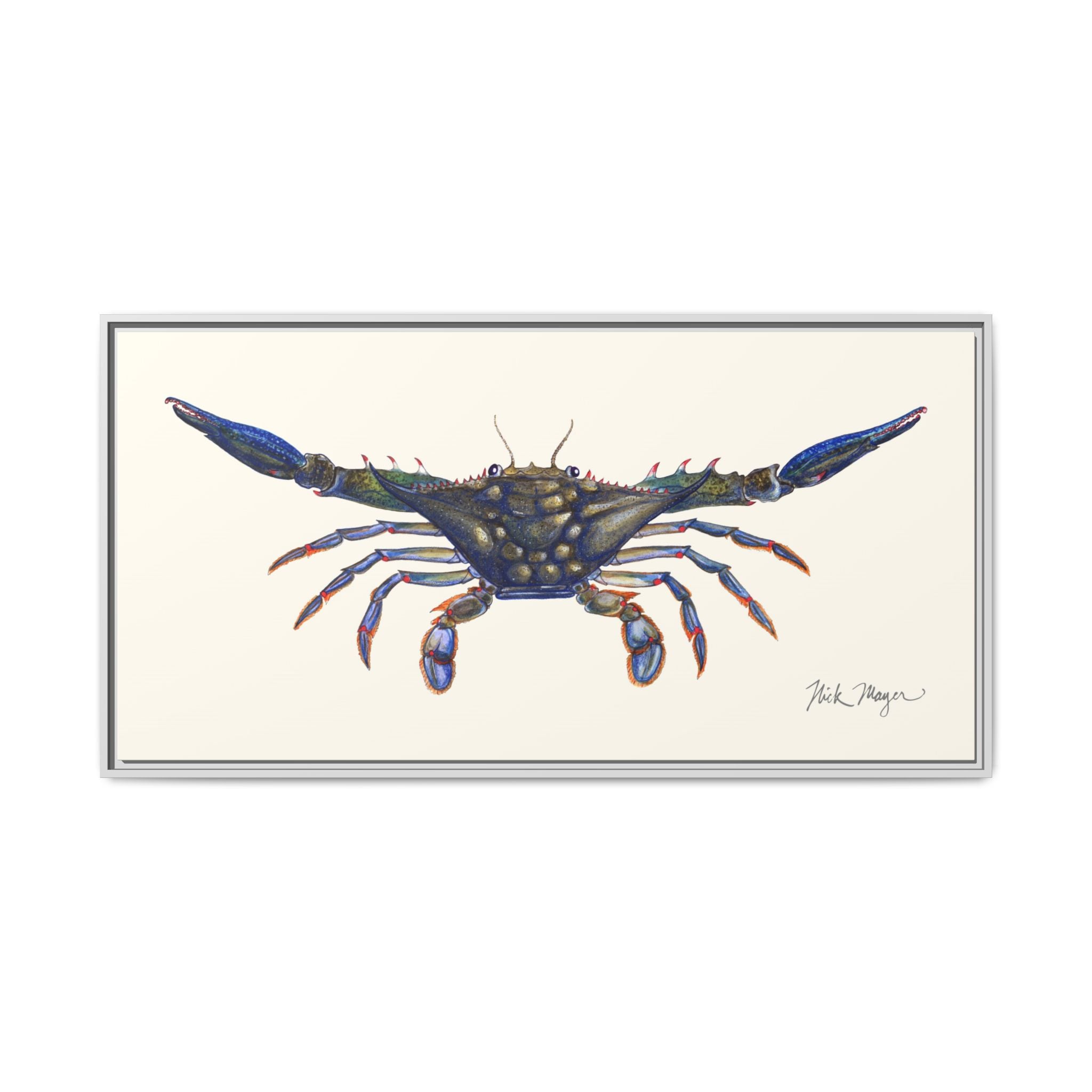 Blue Crab, Claws Out Framed Canvas Print Printify