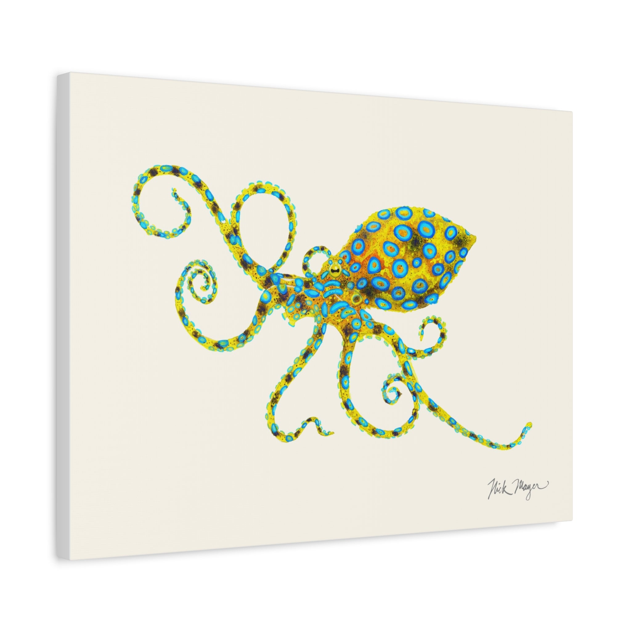 Blue Ringed Octopus Canvas Print