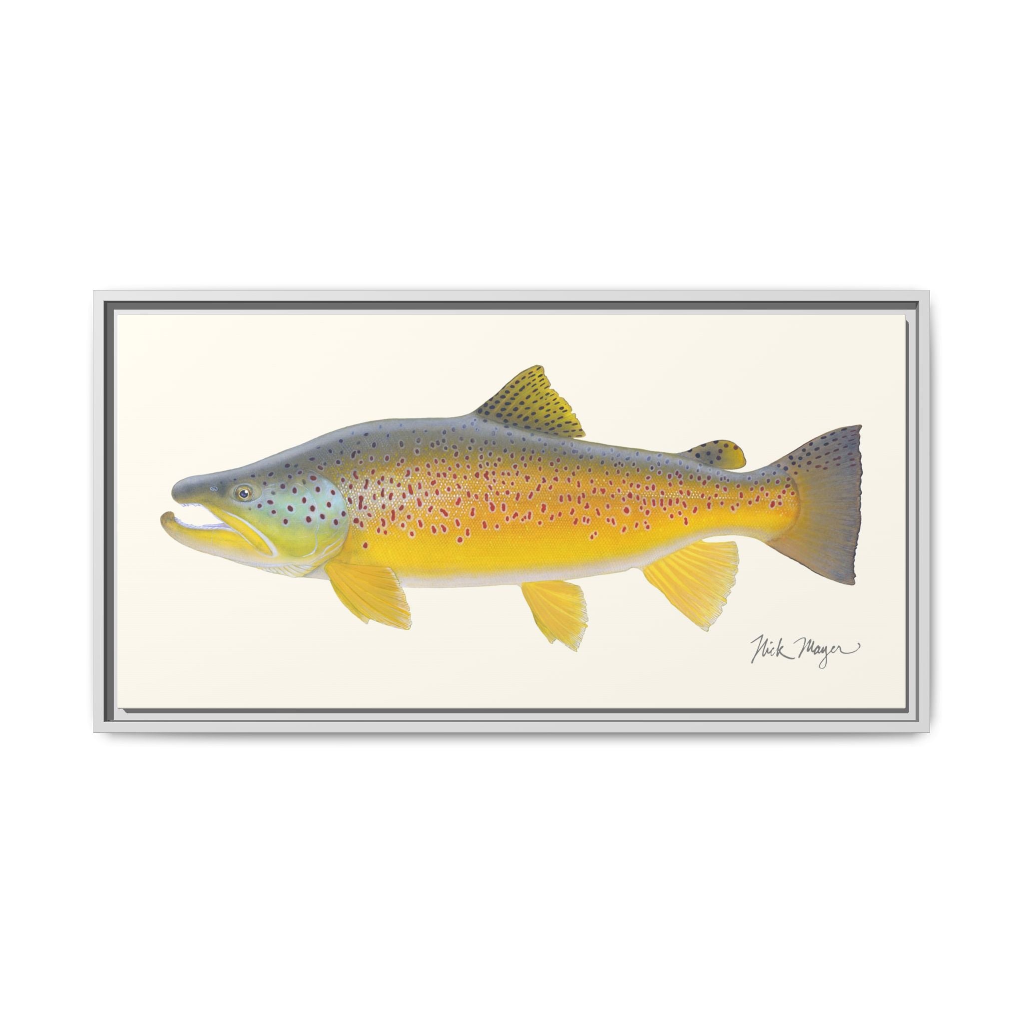 Brown Trout III Framed Canvas Print Printify