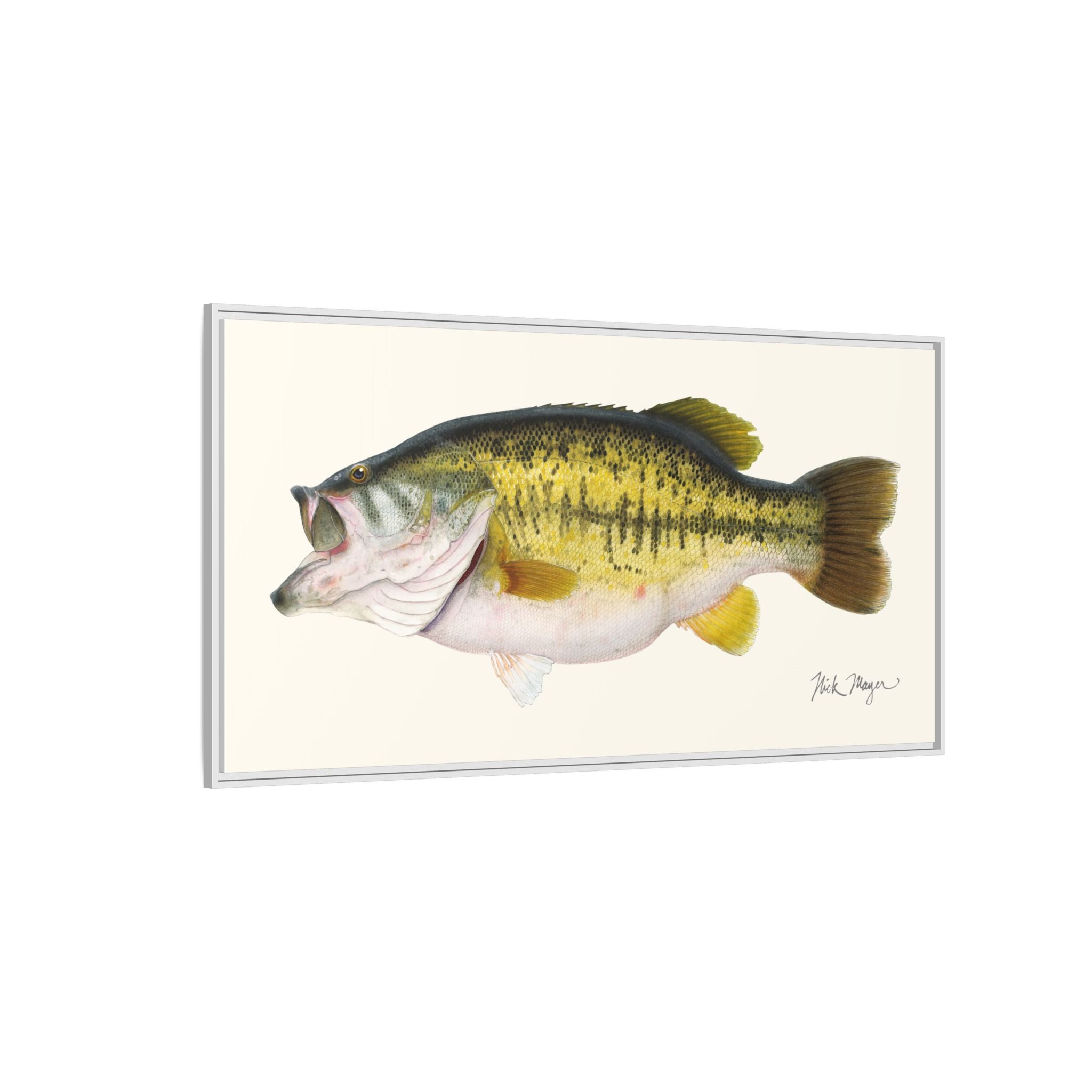 Largemouth Bass II Framed Canvas Print