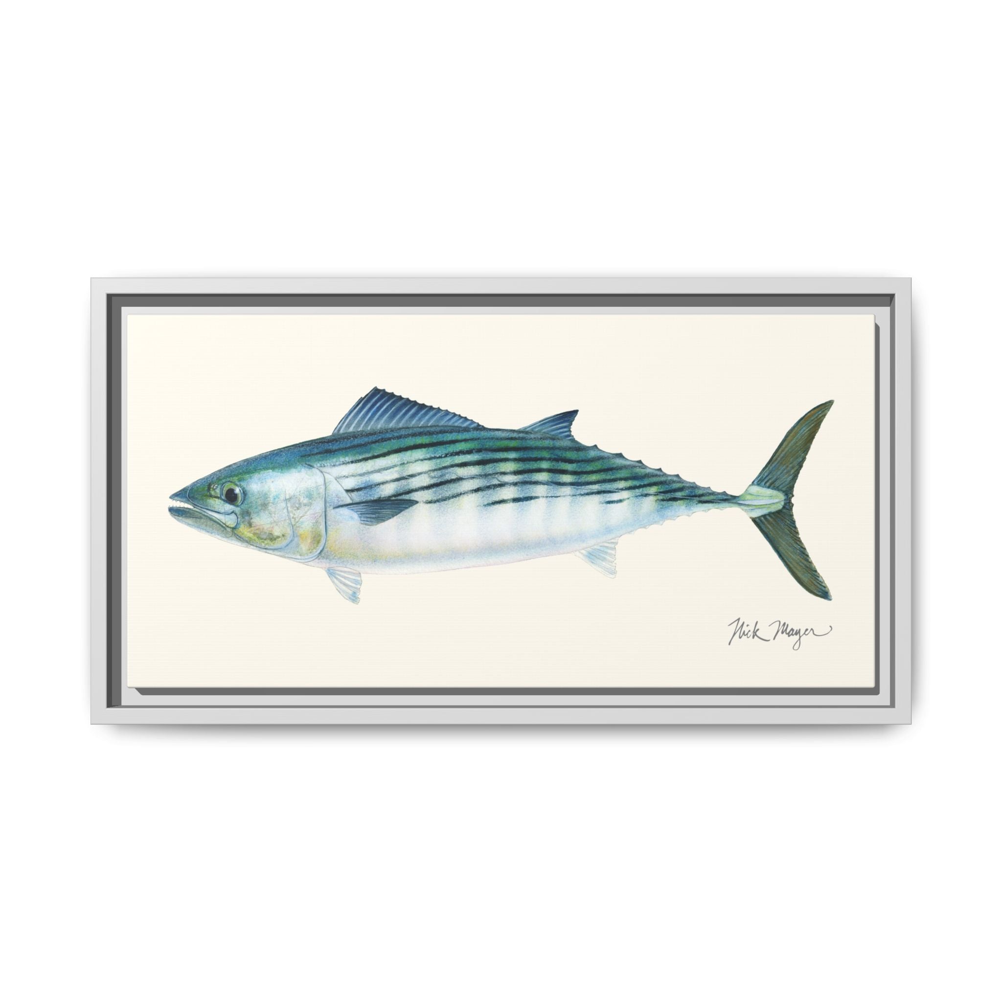 Bonito Framed Canvas Print Printify