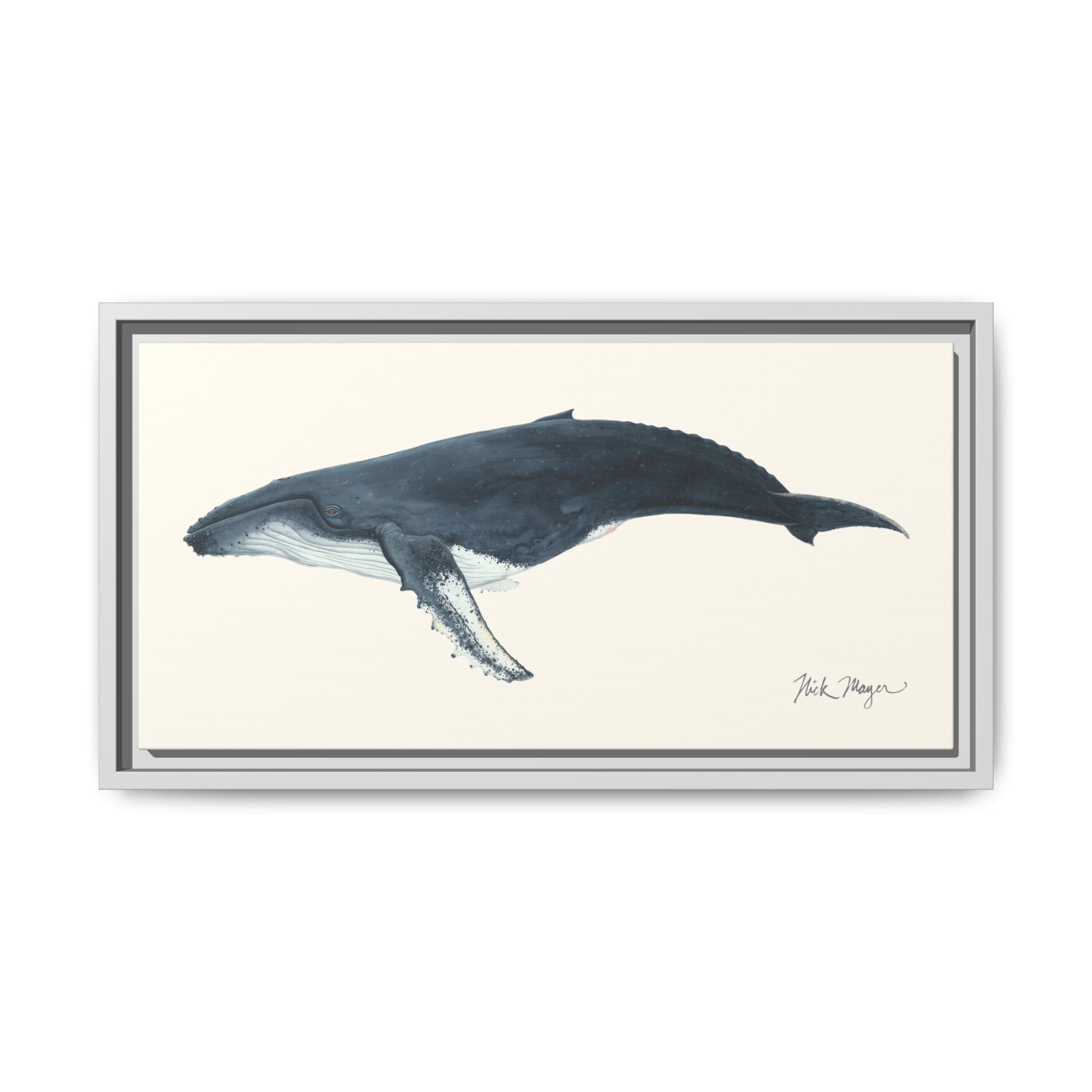 Humpback Whale Framed Canvas Print Printify