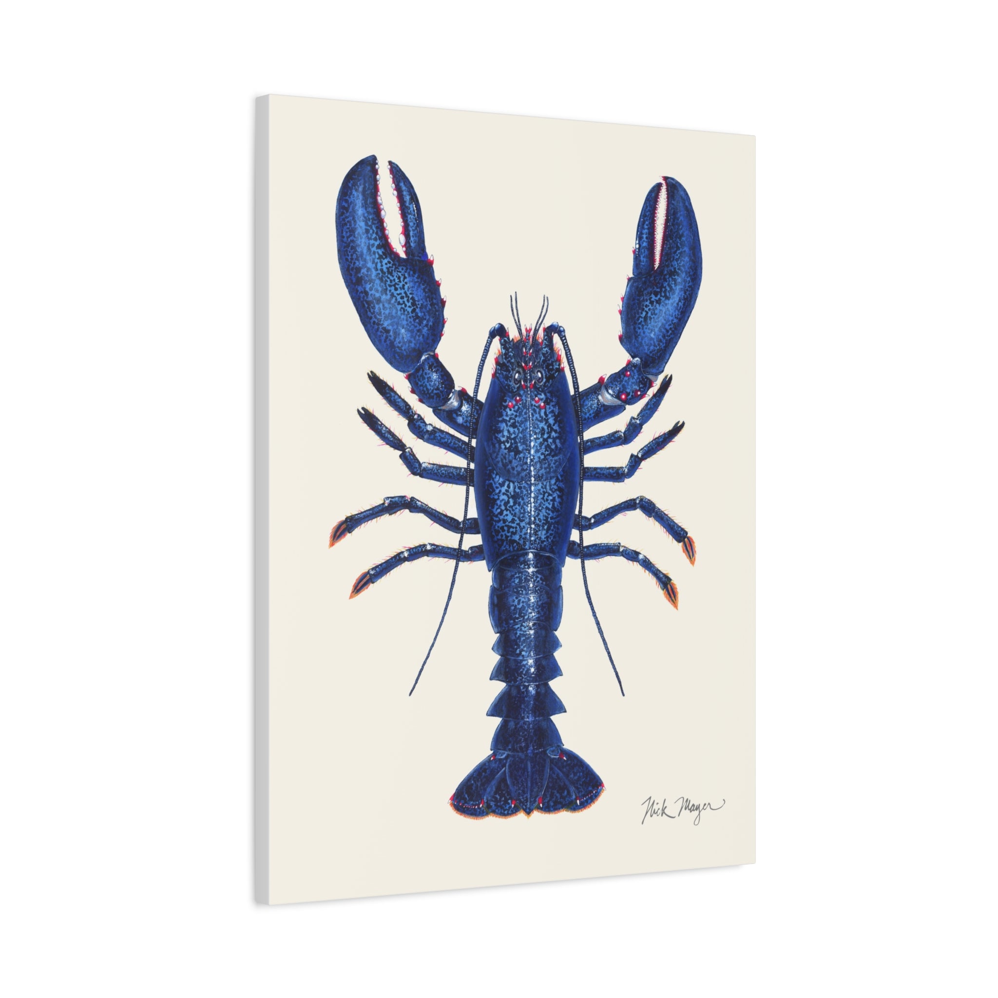 Blue Lobster II Canvas Print