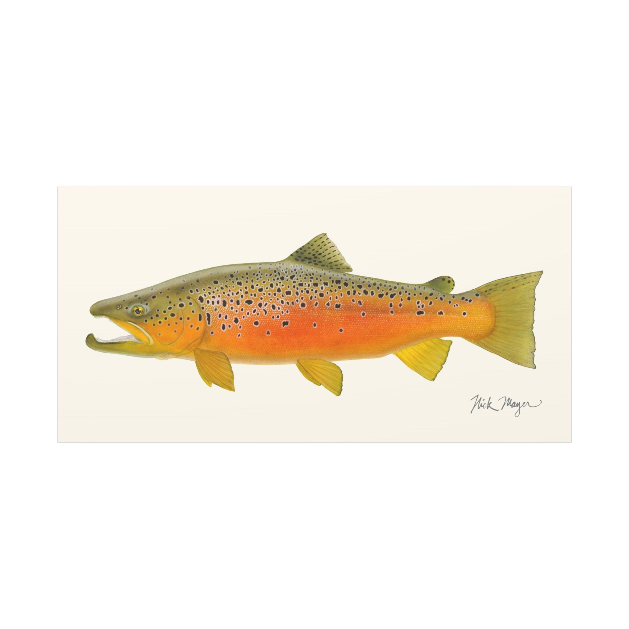 Brown Trout II Canvas Print, NEW for Holiday 2025!