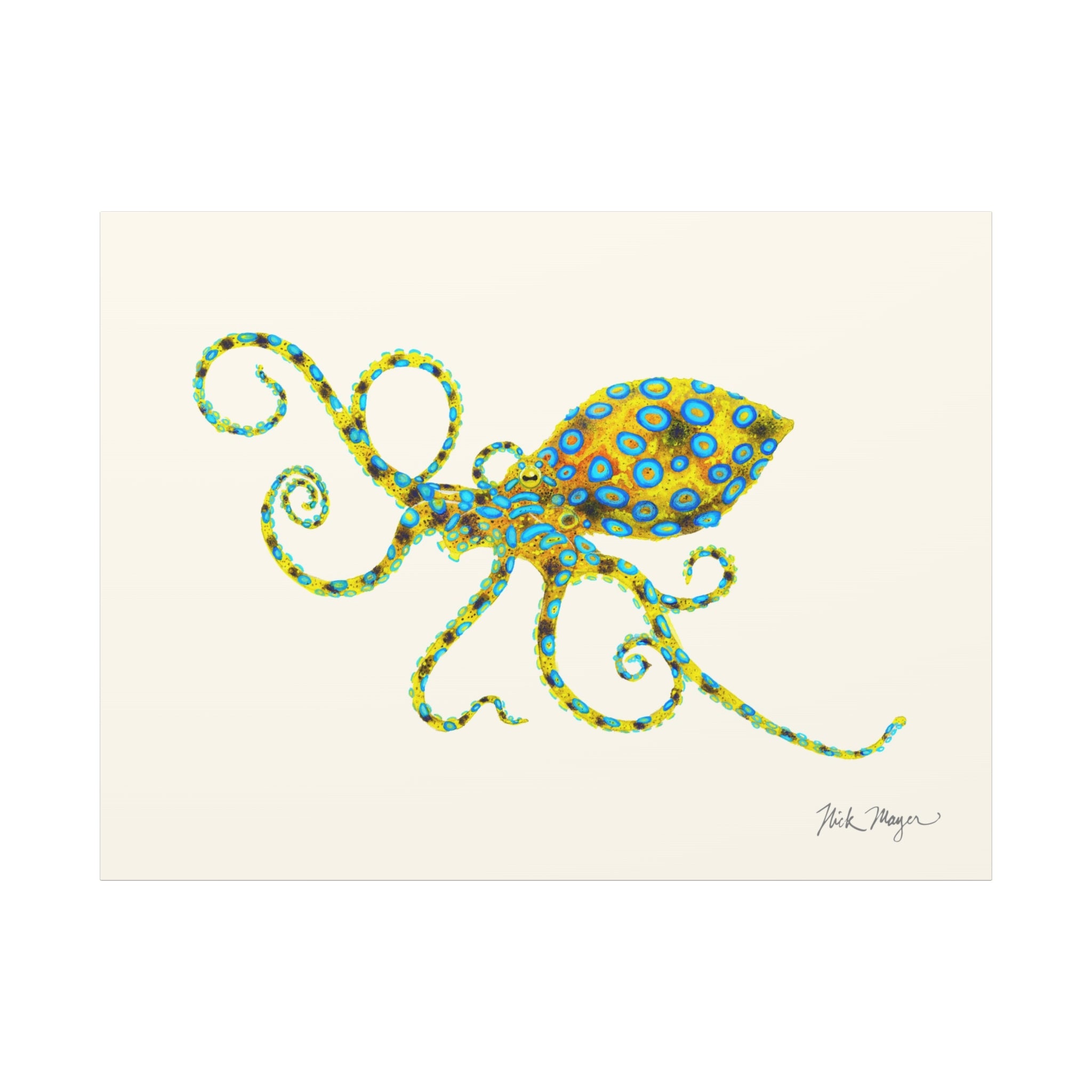Blue Ringed Octopus Canvas Print