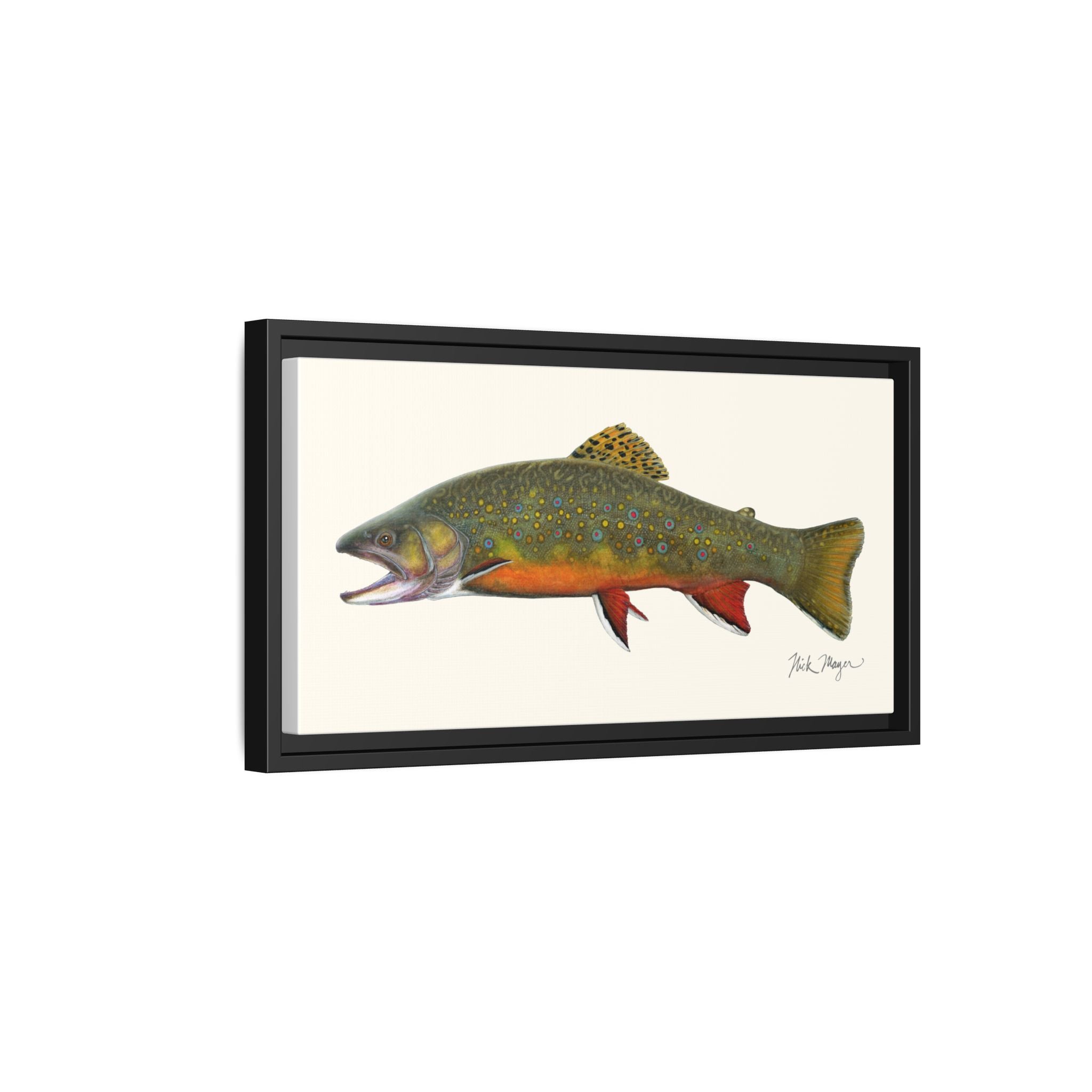 Beaver Pond Brook Trout Framed Canvas Print Printify