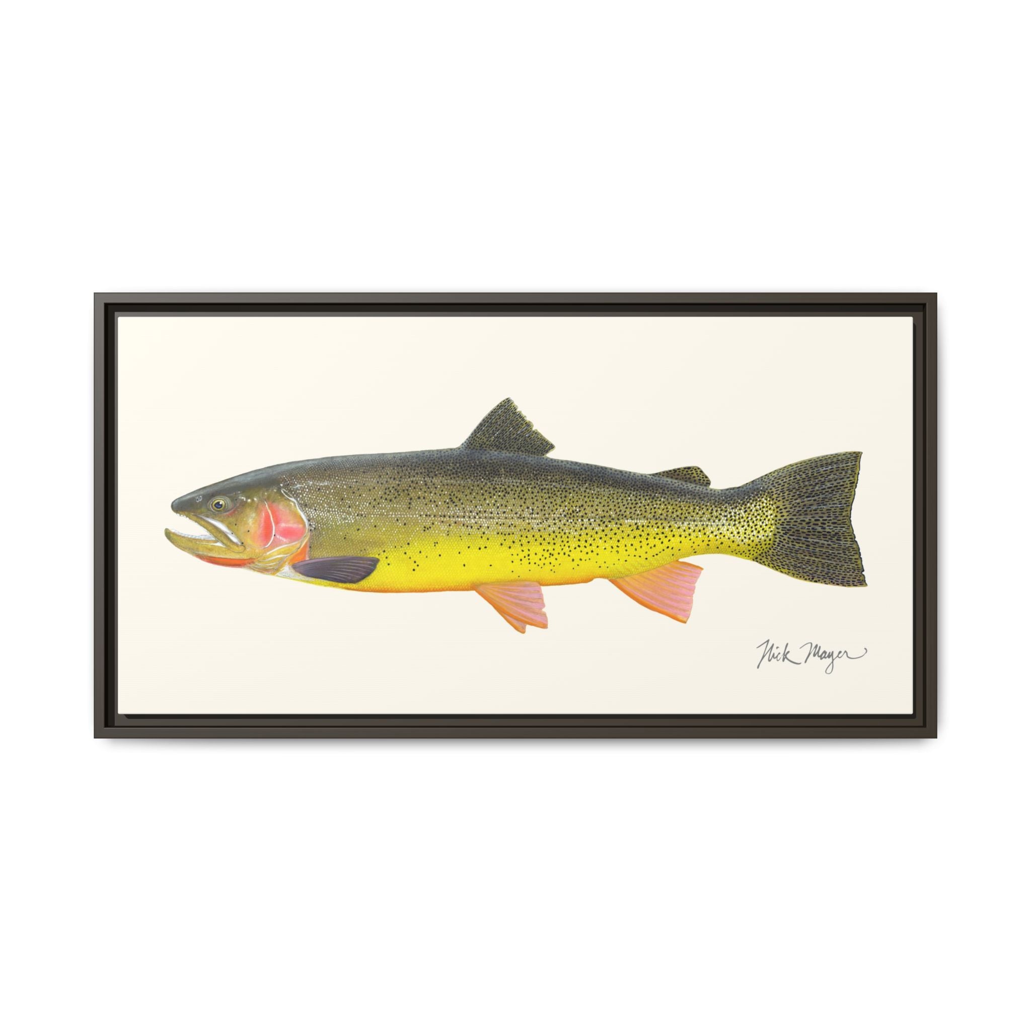 Cutthroat Trout III Framed Canvas Print Printify