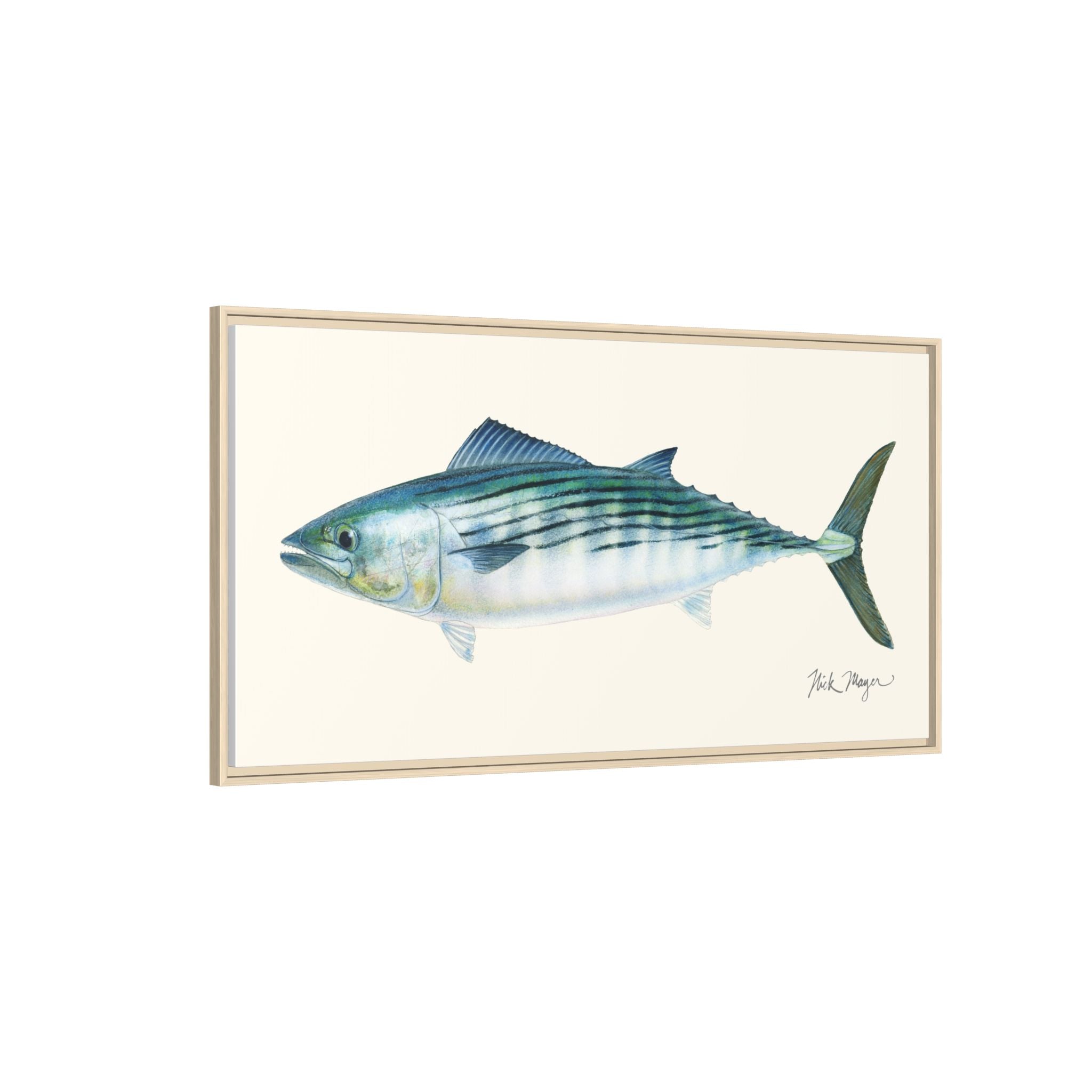 Bonito Framed Canvas Print Printify