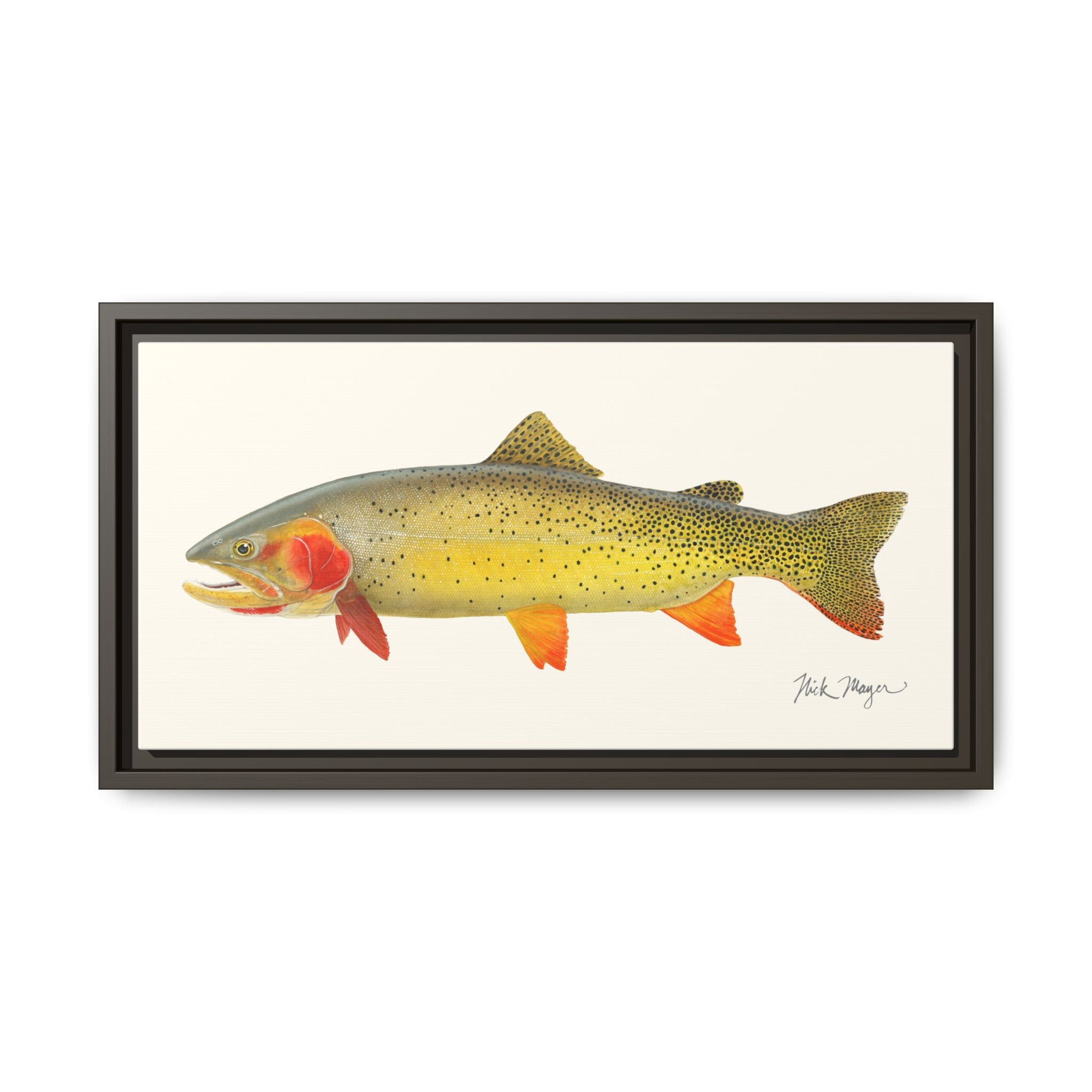 Cutthroat Trout I Framed Canvas Print Printify