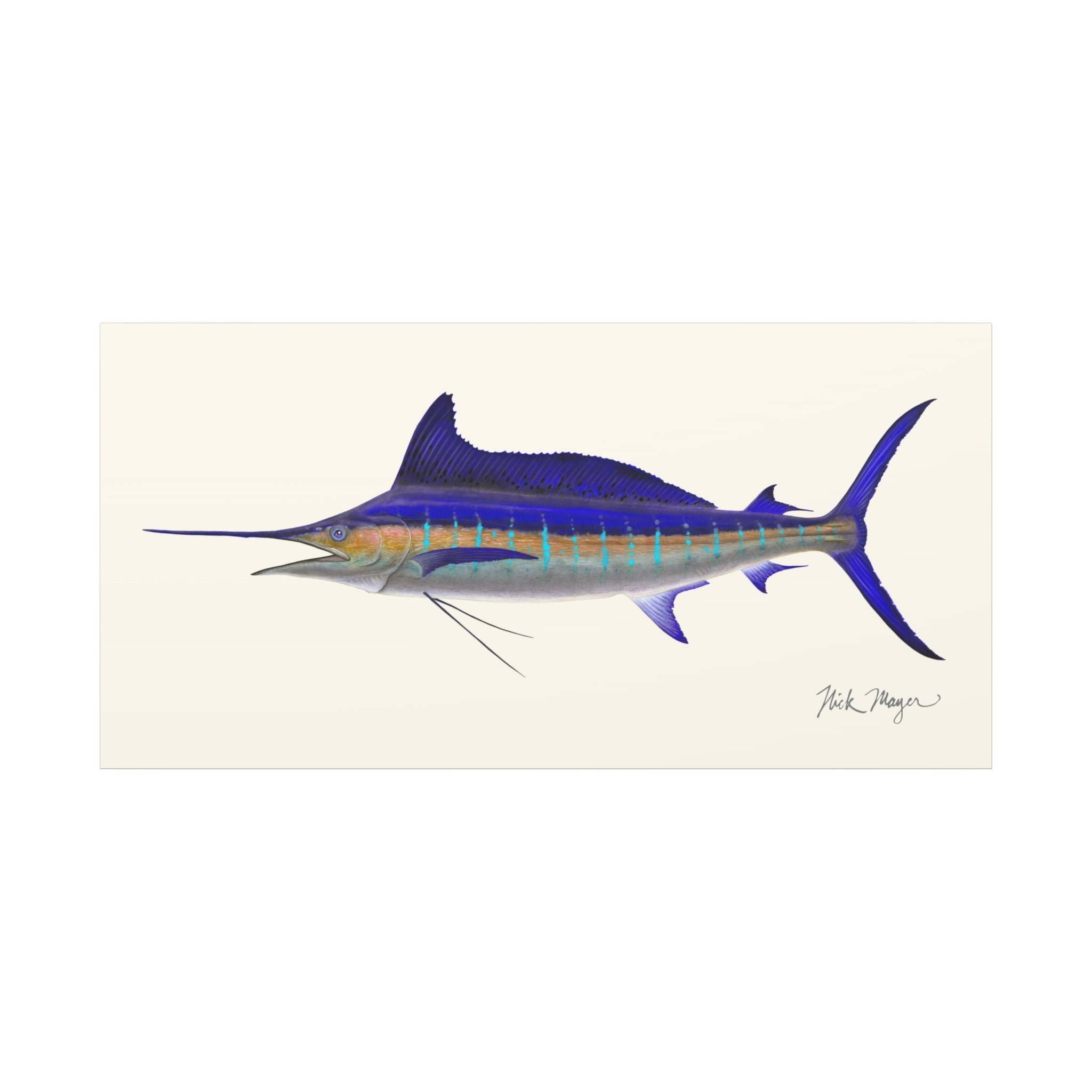 Striped Marlin Canvas Print