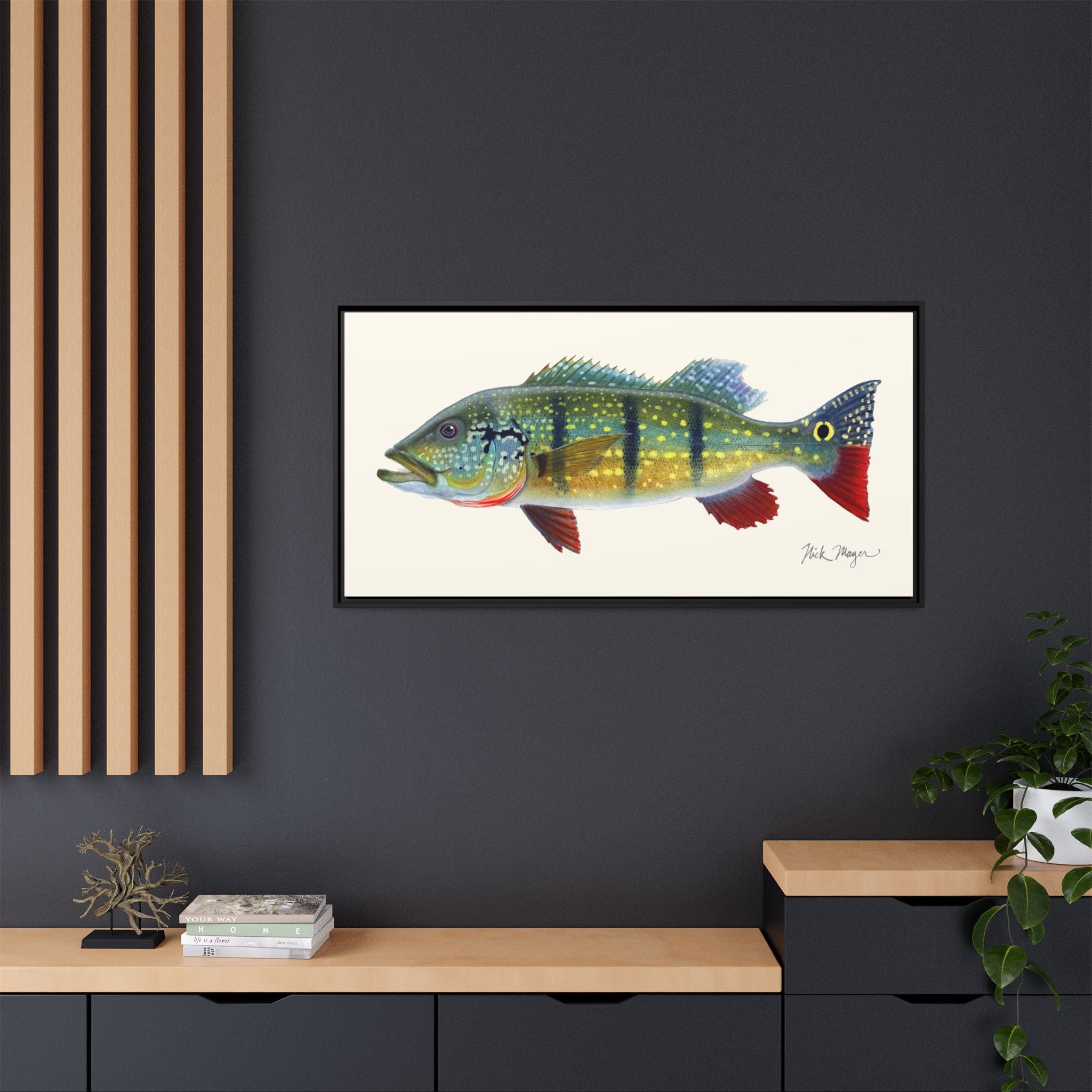Peacock Bass Framed Canvas Print Printify
