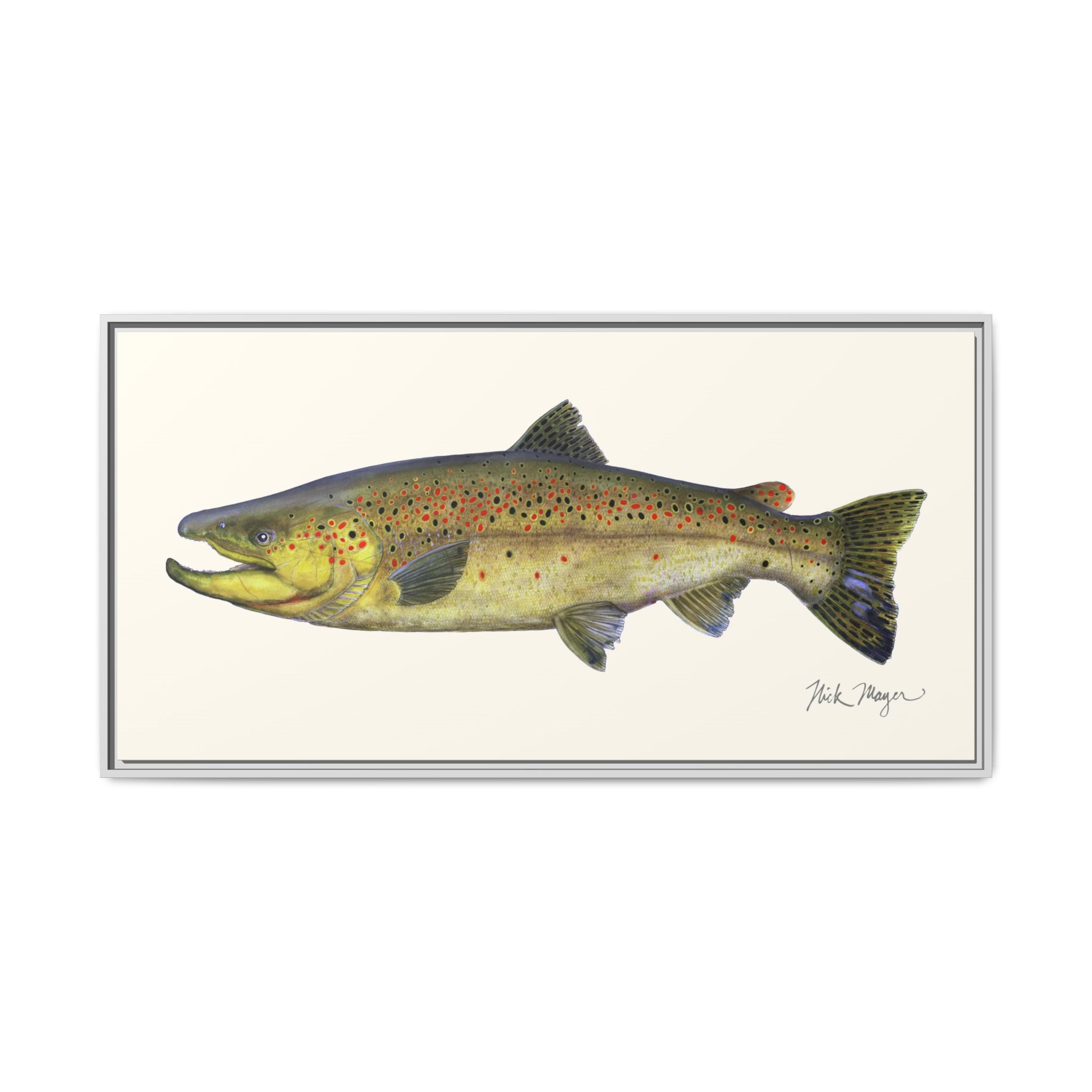 Brown Trout I Framed Canvas Print Printify
