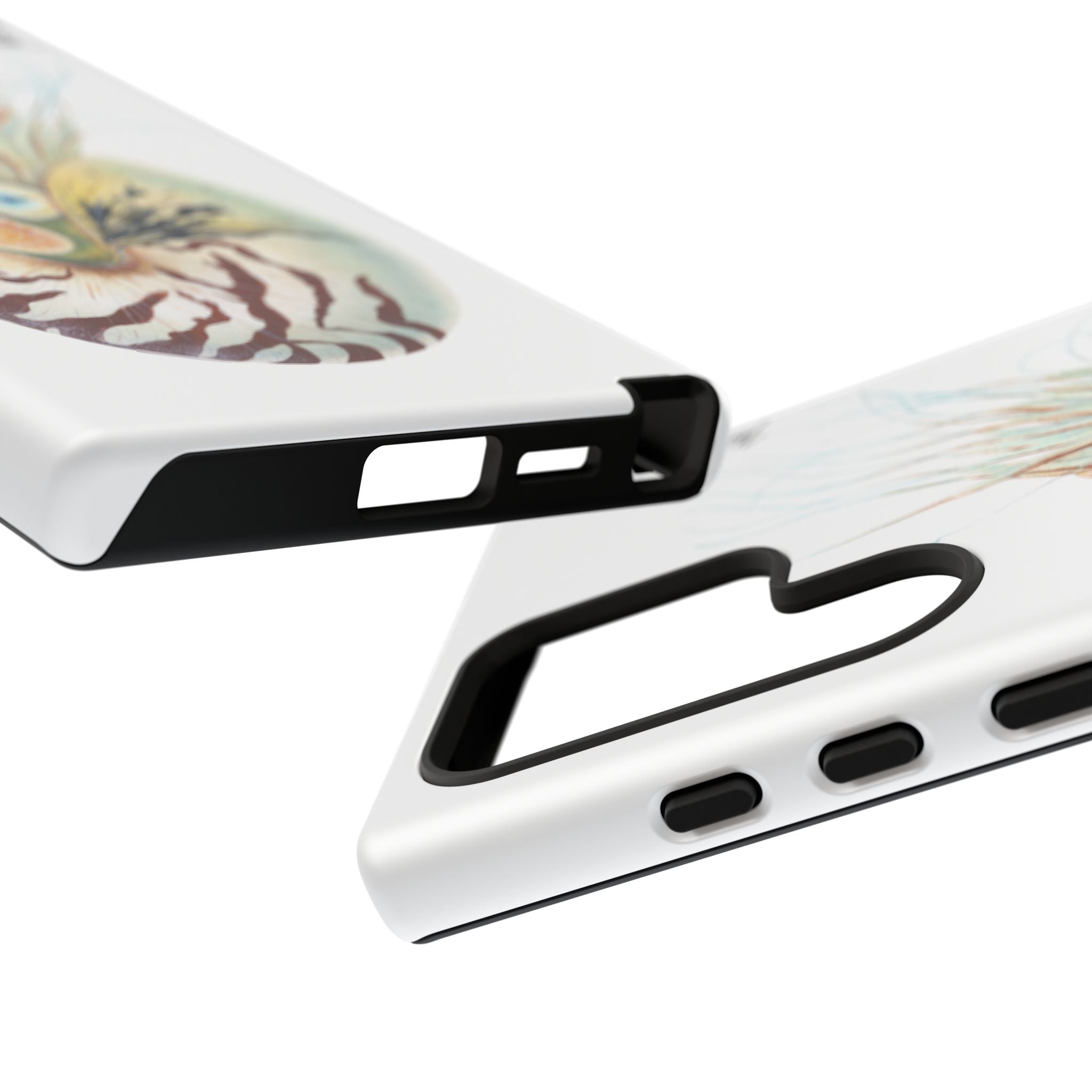 Chambered Nautilus Phone Case (Samsung) Printify