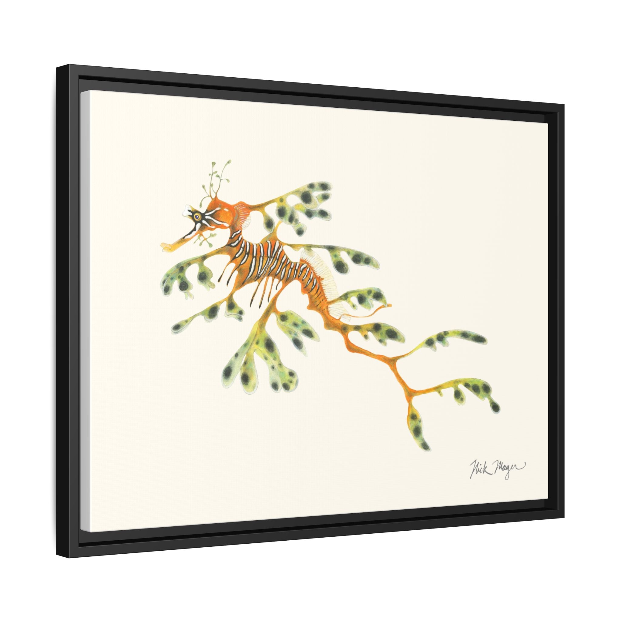 Leafy Sea Dragon Framed Canvas Print Printify