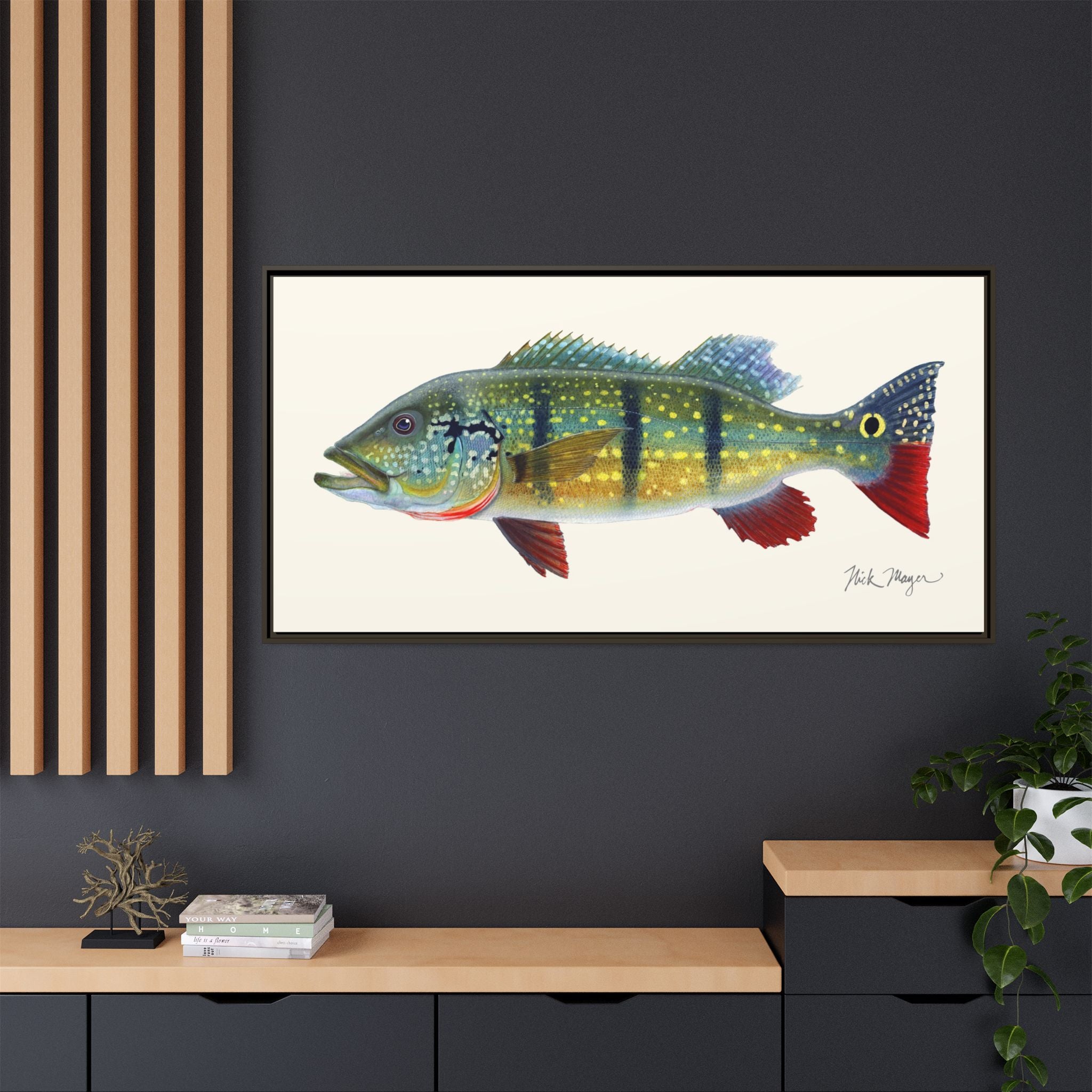 Peacock Bass Framed Canvas Print Printify