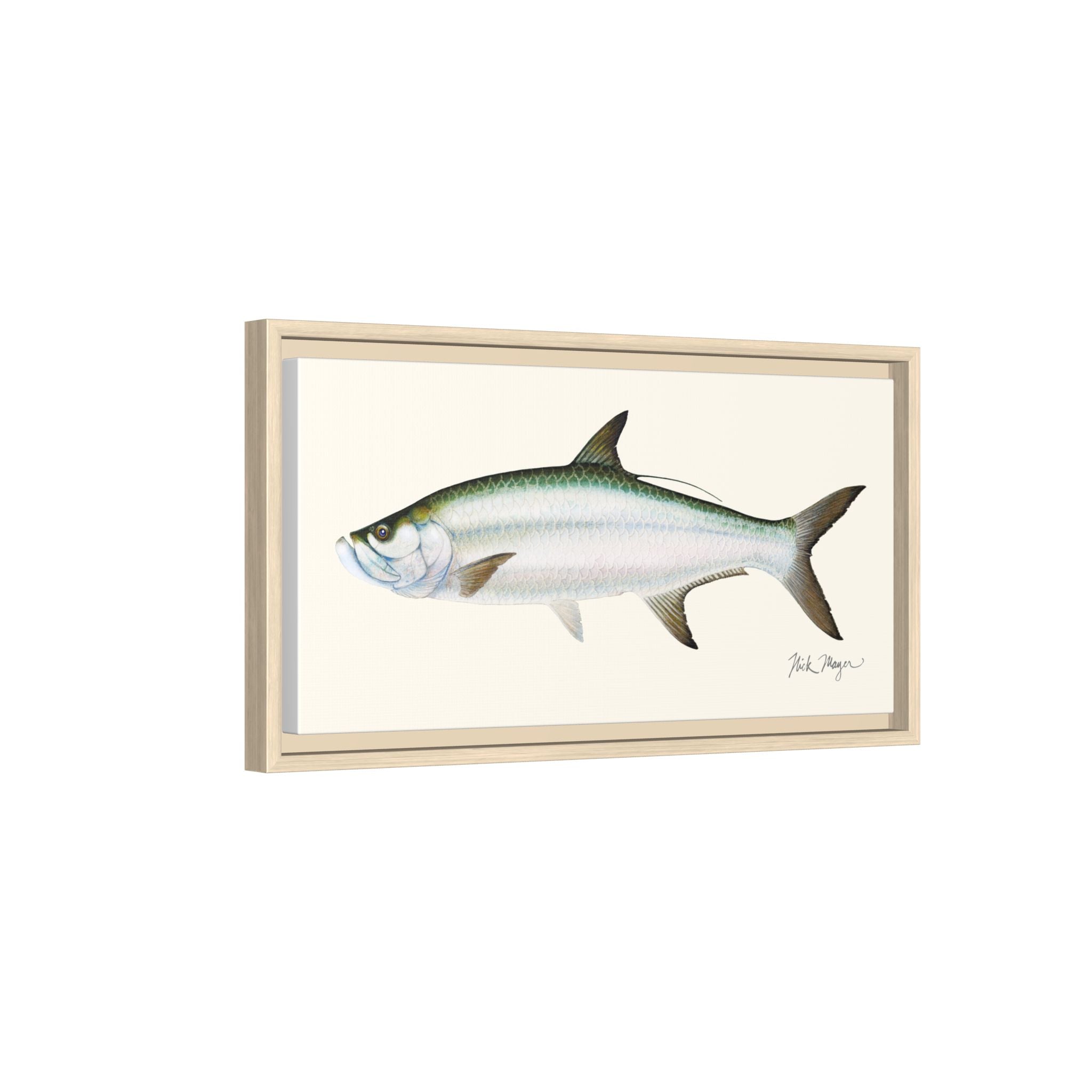 Tarpon Framed Canvas Print Printify