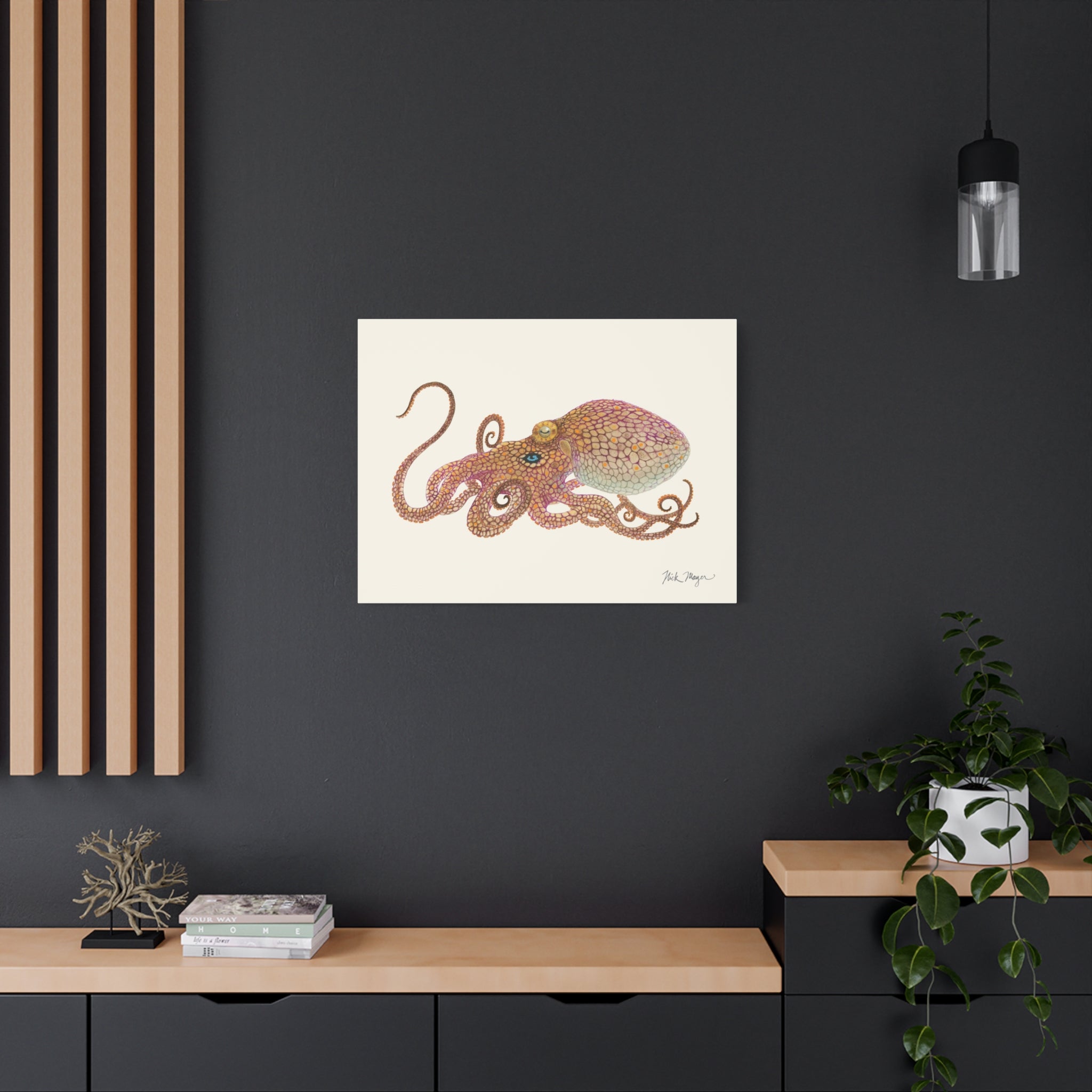 California Two Spot Octopus Canvas Print