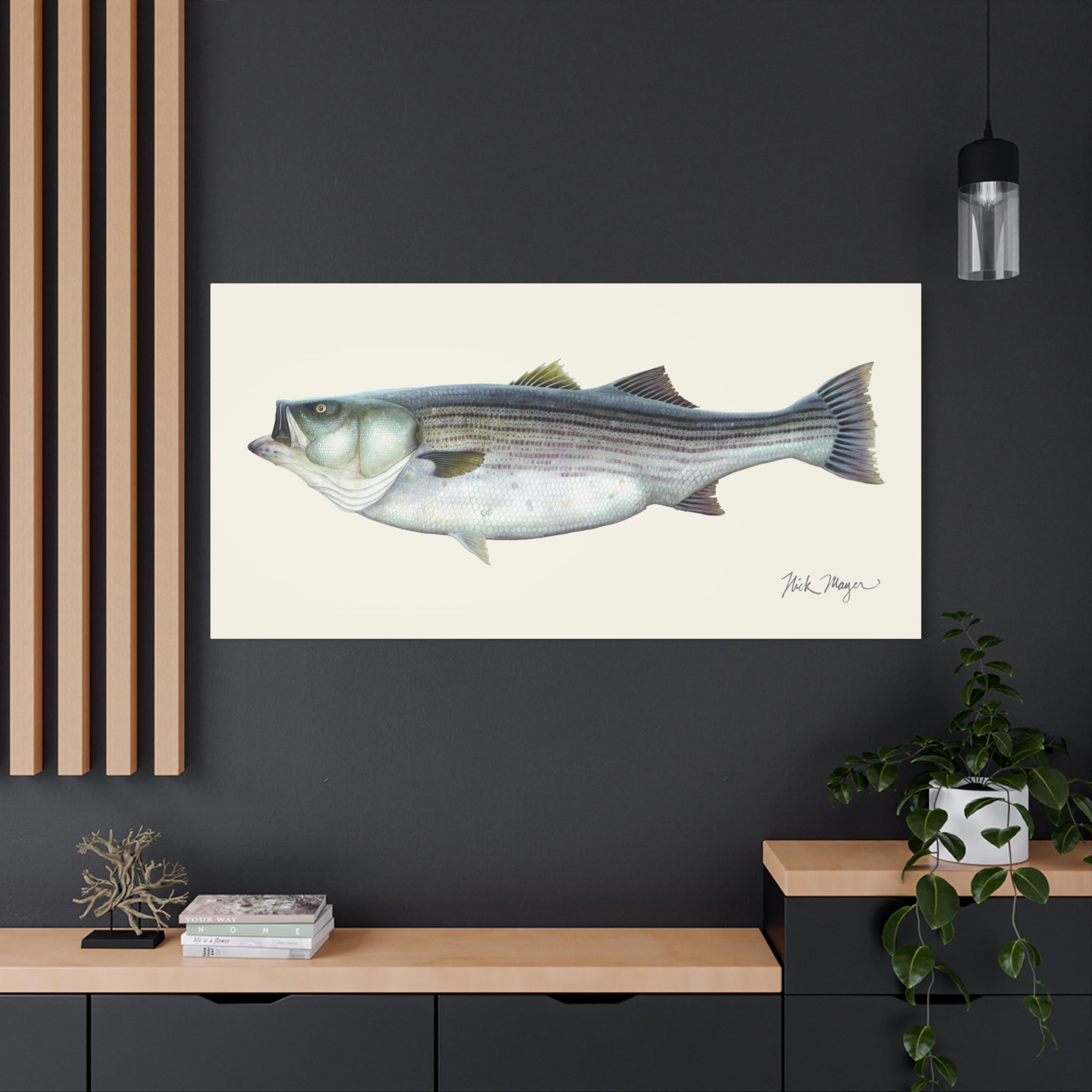 Striped Bass 60 lbs Canvas Print