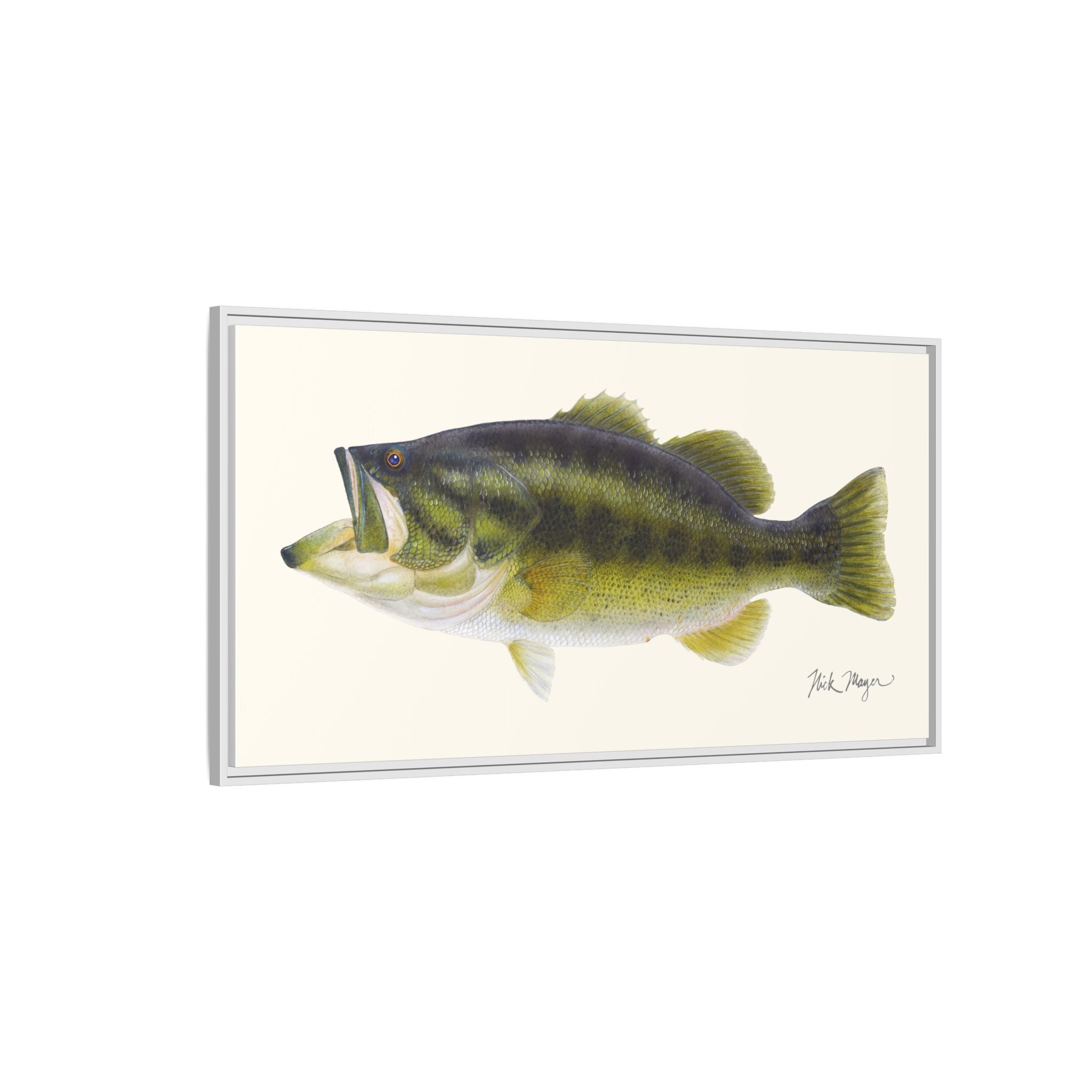 Largemouth Bass I Framed Canvas Print Printify