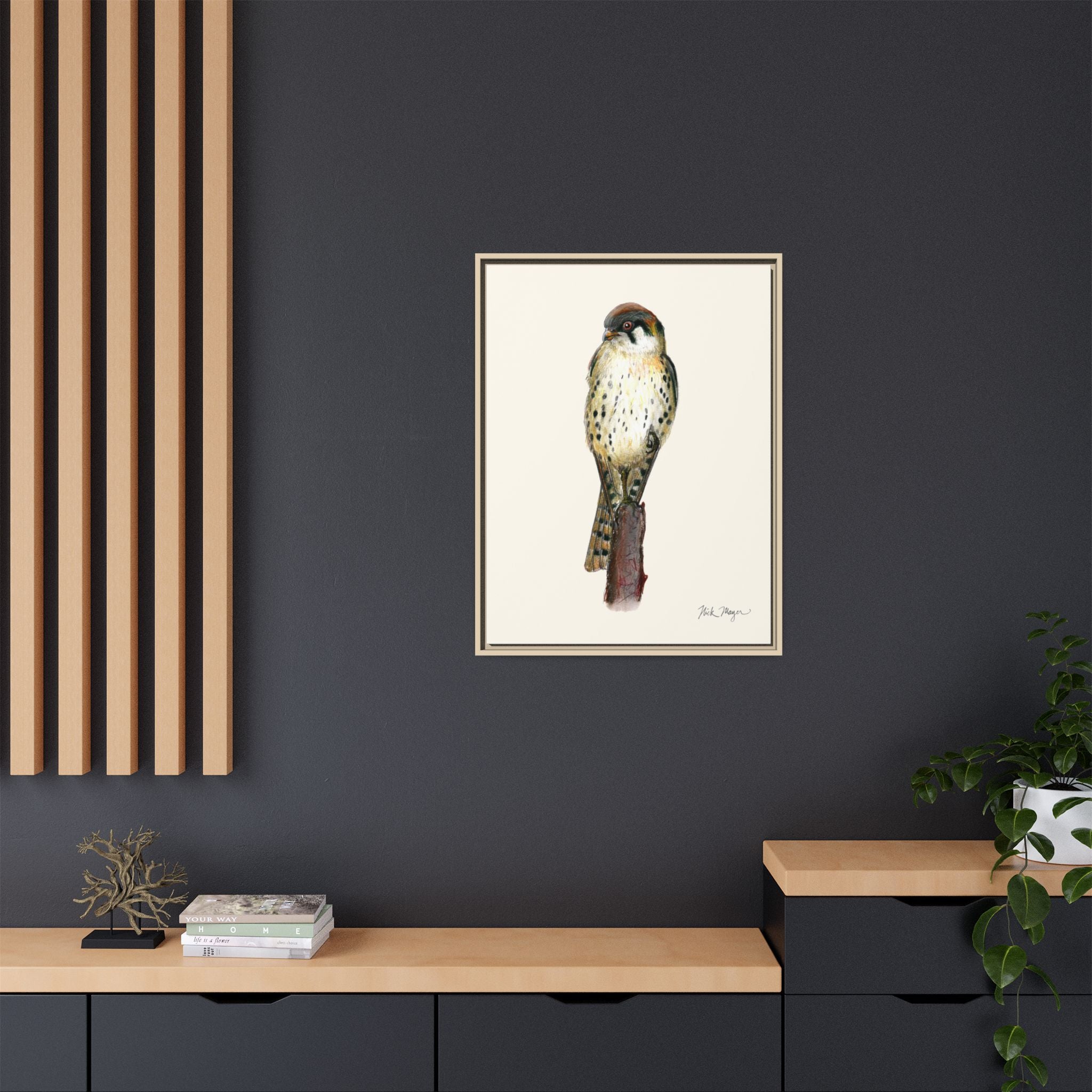 American Kestrel Framed Canvas Print Printify